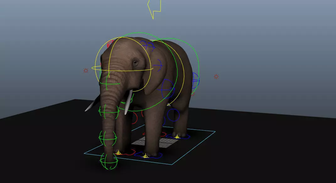 Elephant Free 3D model_0