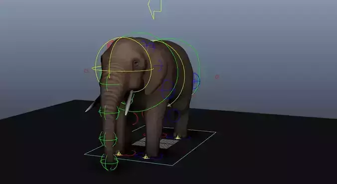 Elephant Free 3D model