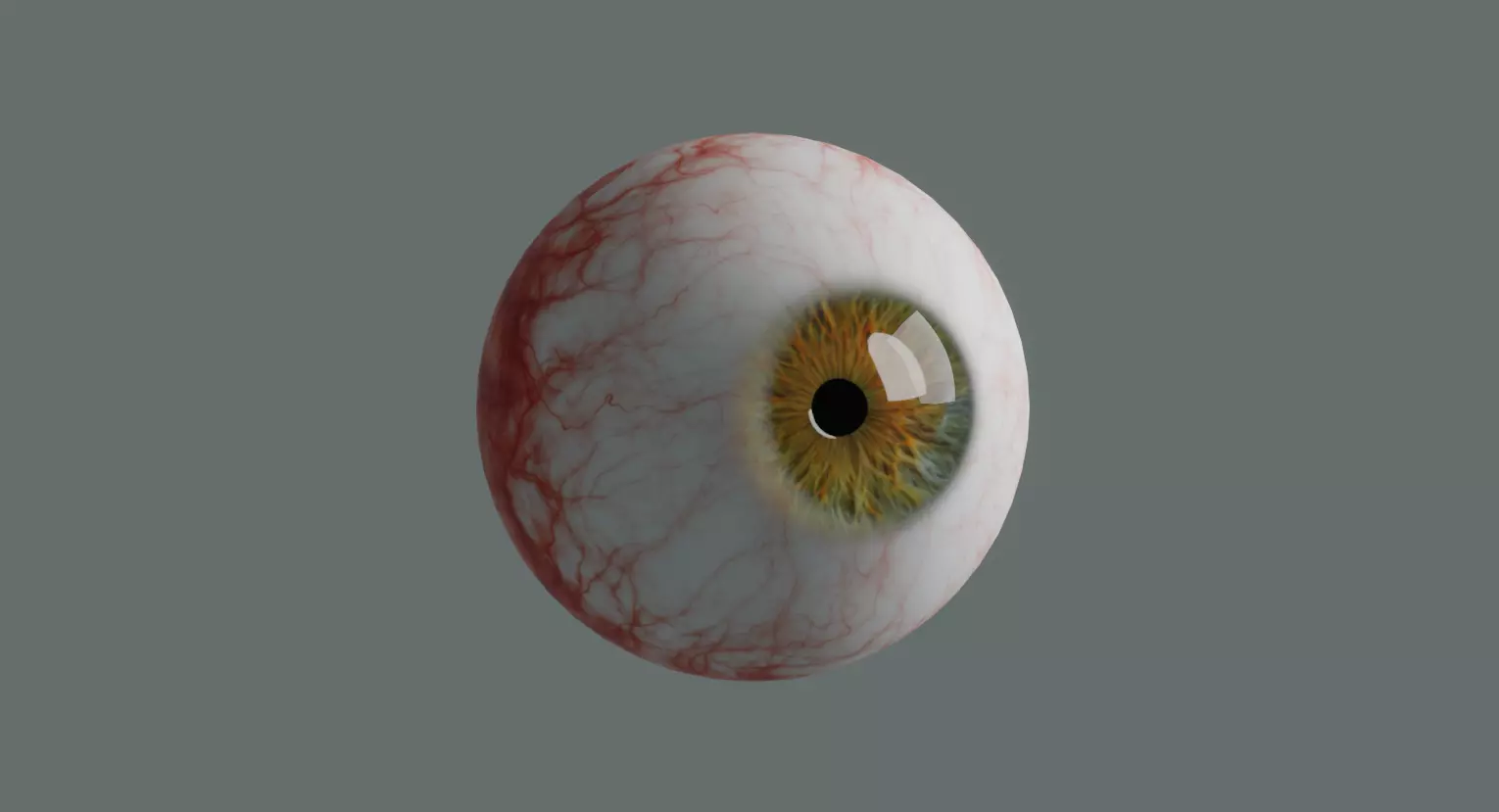 3D Model of Realistic Eyeball  3D model_0