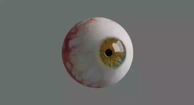 3D Model of Realistic Eyeball 