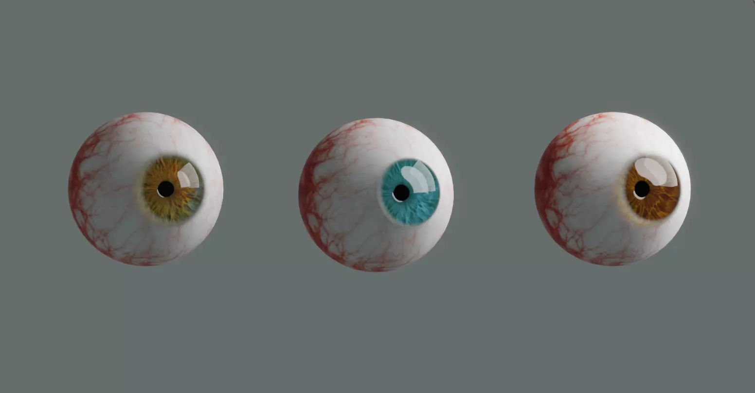 3D Model of Realistic Eyeball  3D model_1