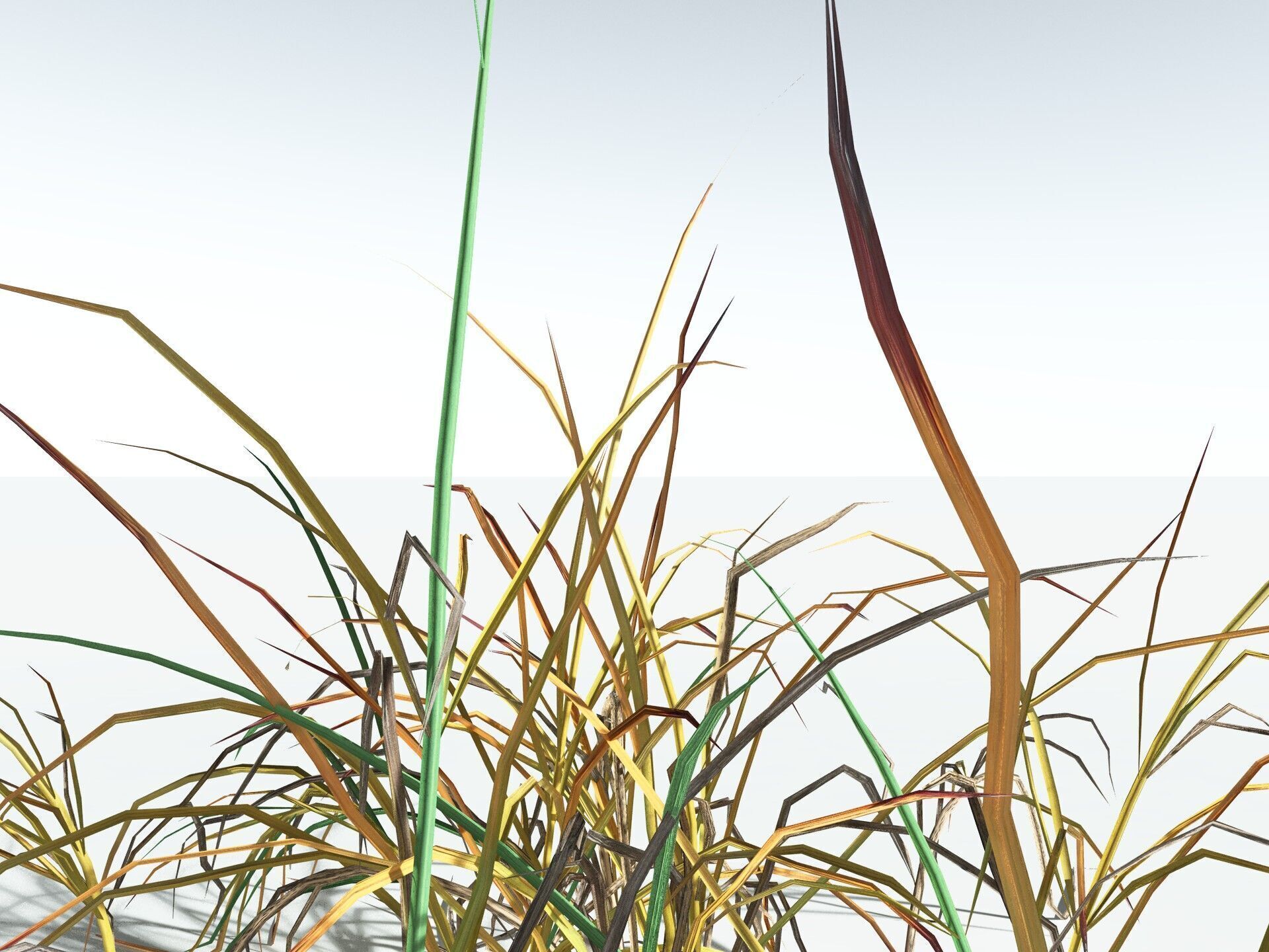 EVERYPlant Forest Woodrush LowPoly Low-poly 3D model_17