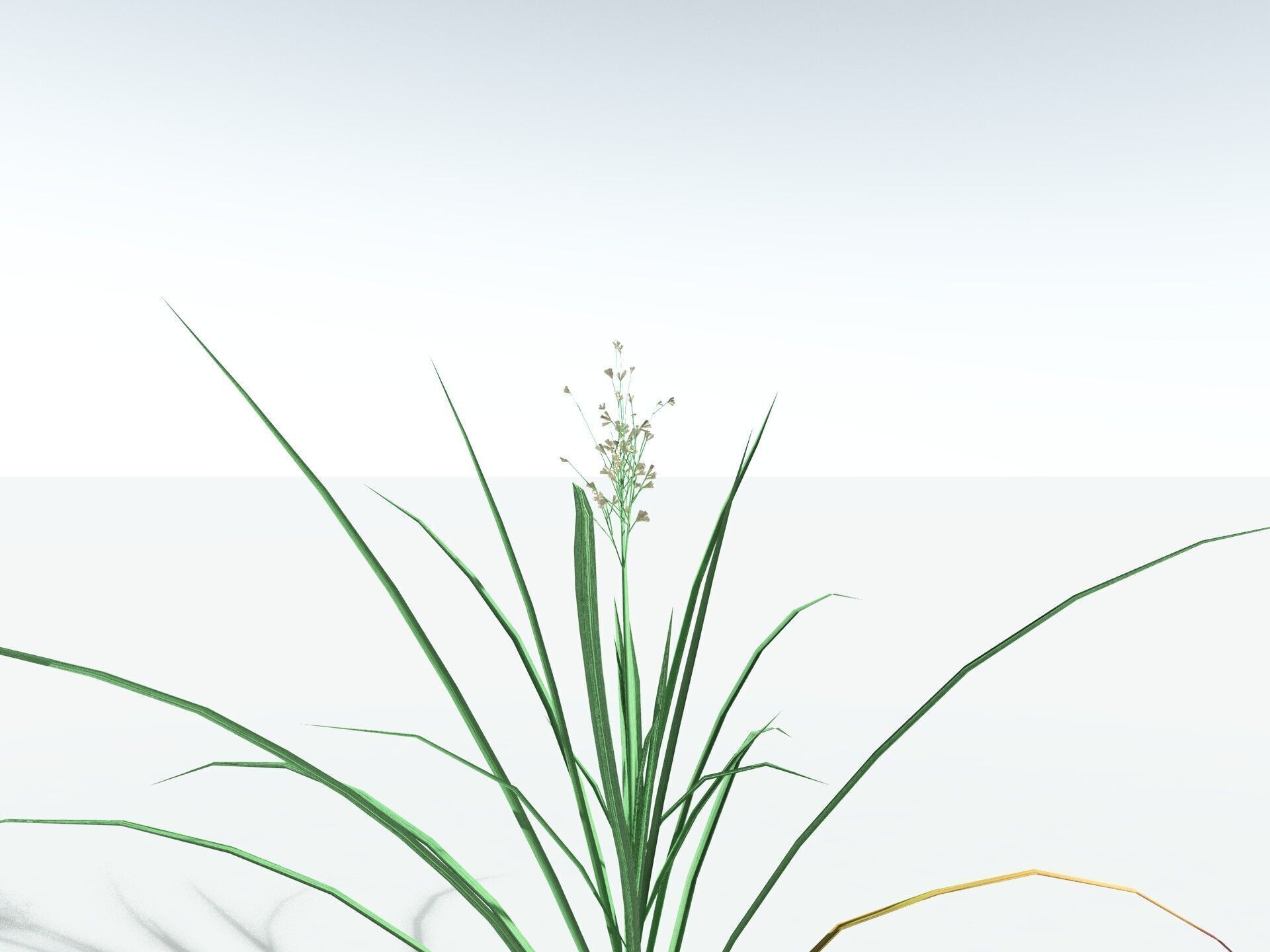 EVERYPlant Forest Woodrush LowPoly Low-poly 3D model_31