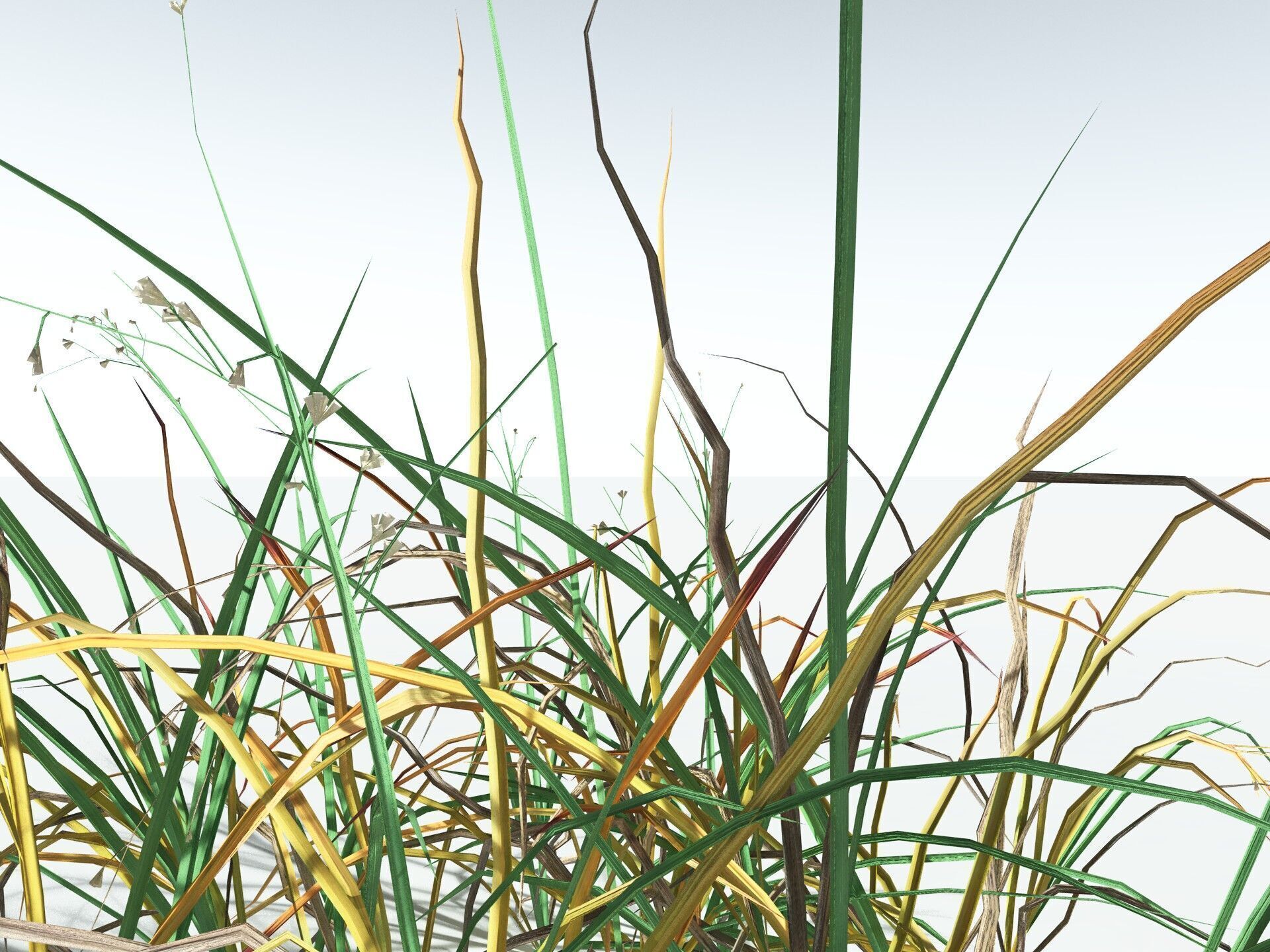 EVERYPlant Forest Woodrush LowPoly Low-poly 3D model_15