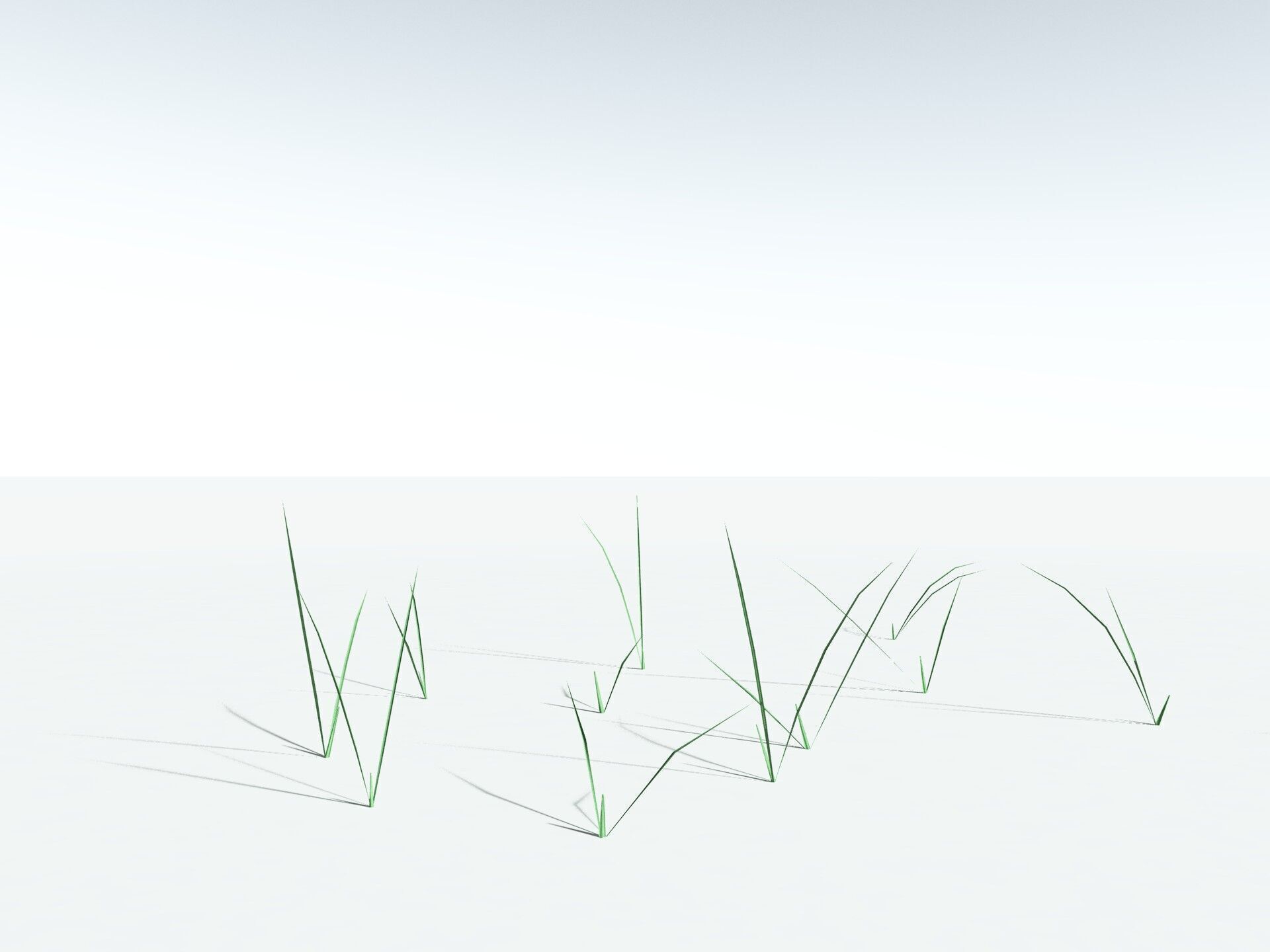 EVERYPlant Forest Woodrush LowPoly Low-poly 3D model_29