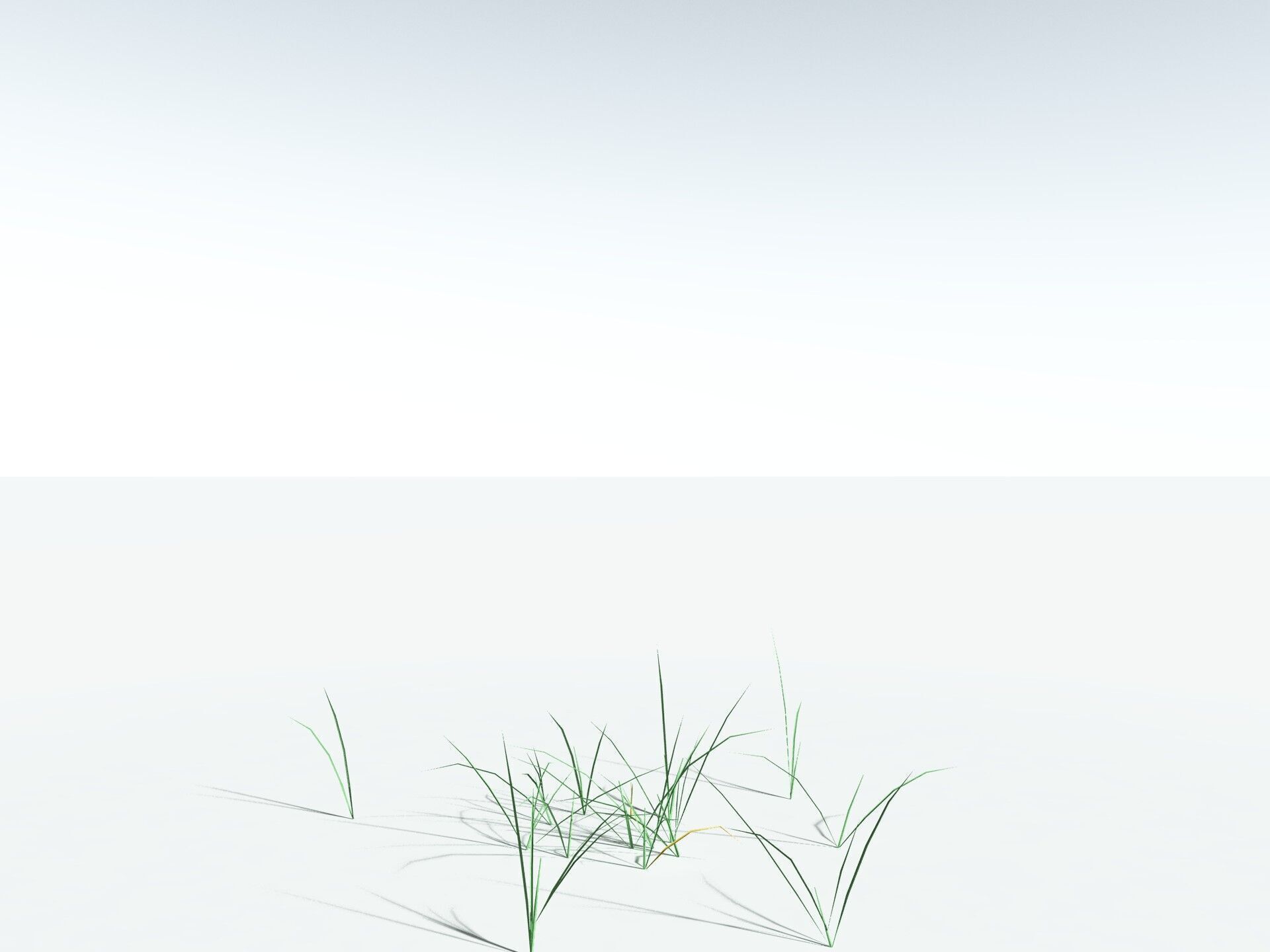 EVERYPlant Forest Woodrush LowPoly Low-poly 3D model_26