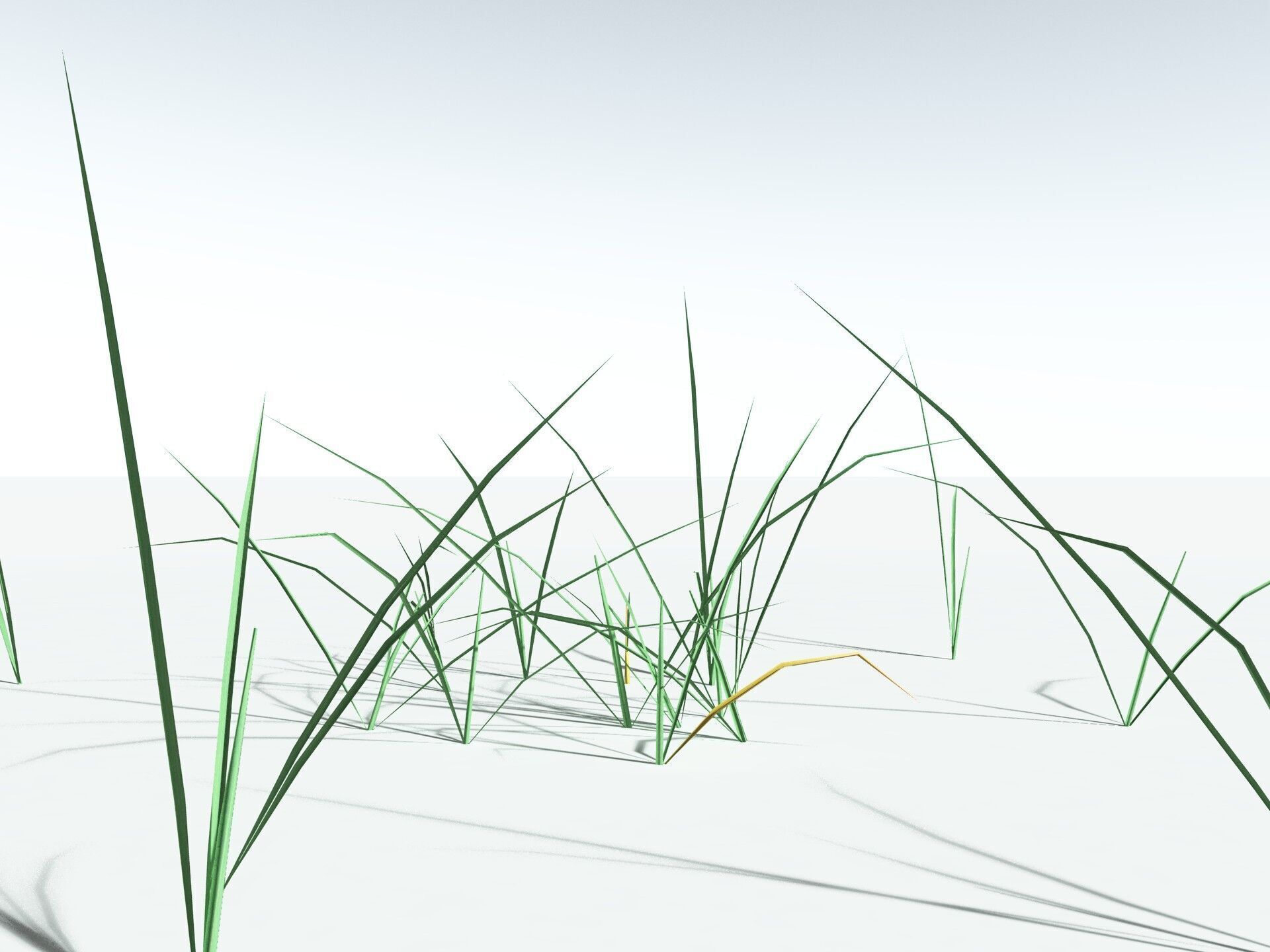 EVERYPlant Forest Woodrush LowPoly Low-poly 3D model_27