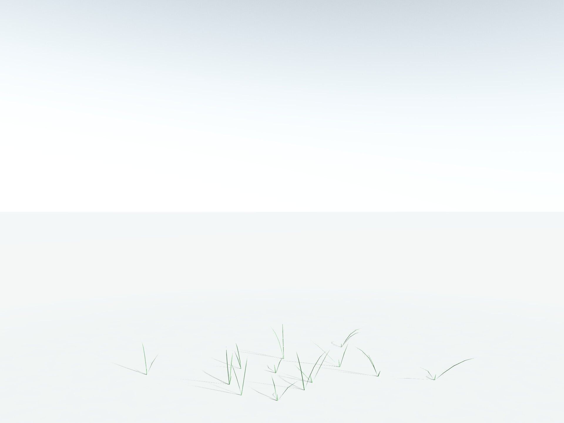 EVERYPlant Forest Woodrush LowPoly Low-poly 3D model_28