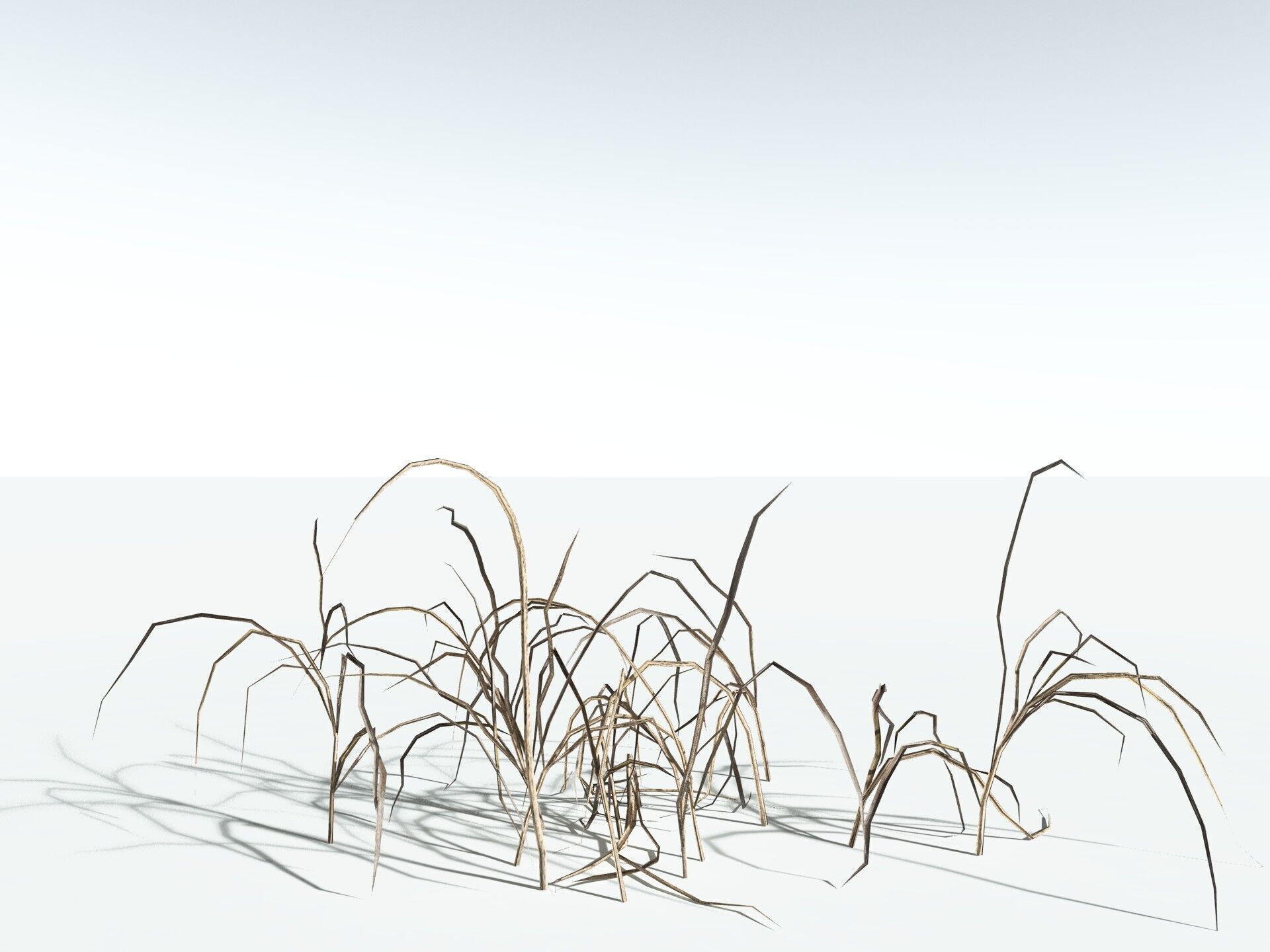 EVERYPlant Forest Woodrush LowPoly Low-poly 3D model_18