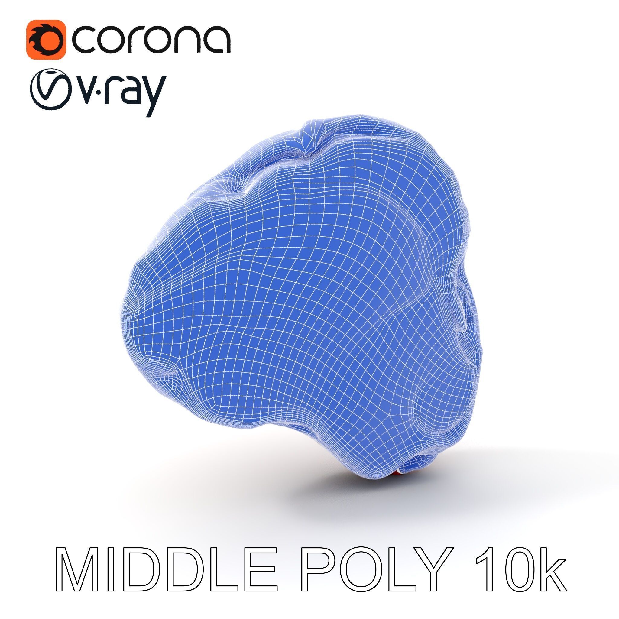 Realistic Meat Steak D Model Pack Low-poly 3D model_19