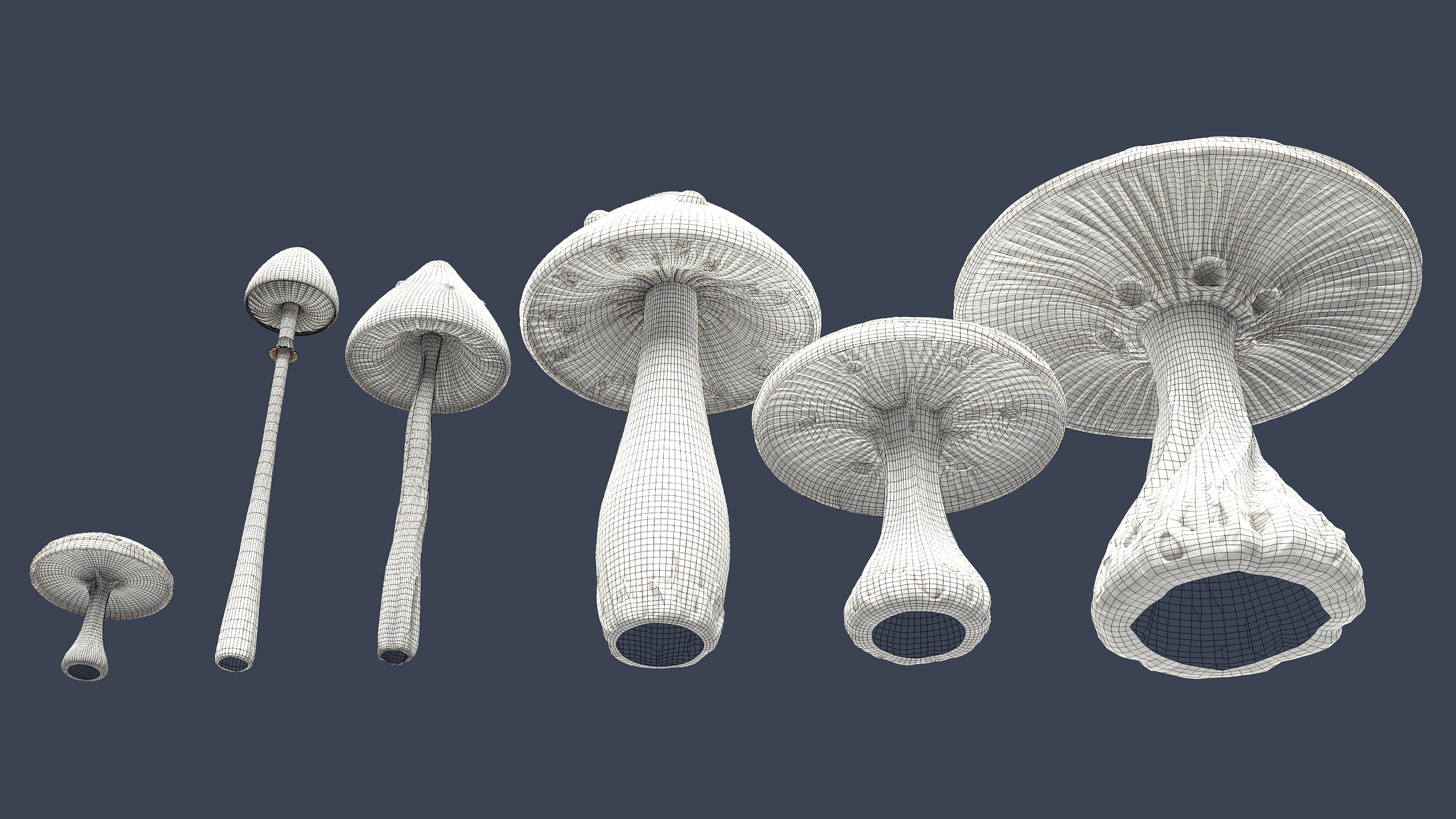 Stylized Mushrooms Low-poly 3D model_11