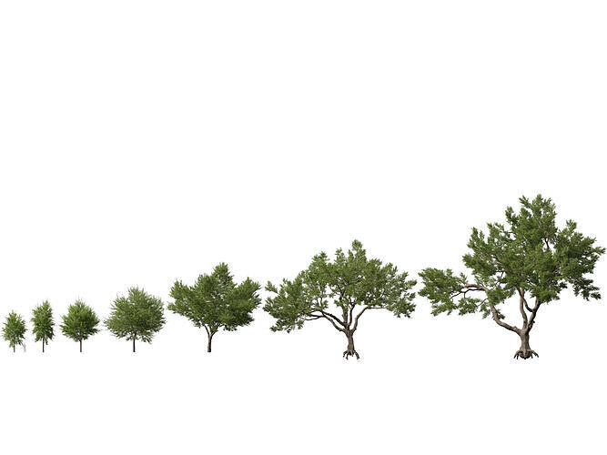 Highpoly-Lowpoly - Quercus Virginiana - live oak Low-poly 3D model