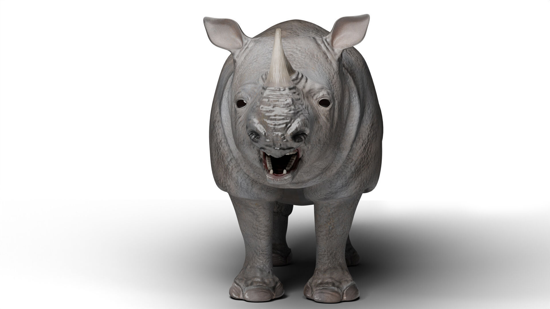 Rhinoceros 3D model_4