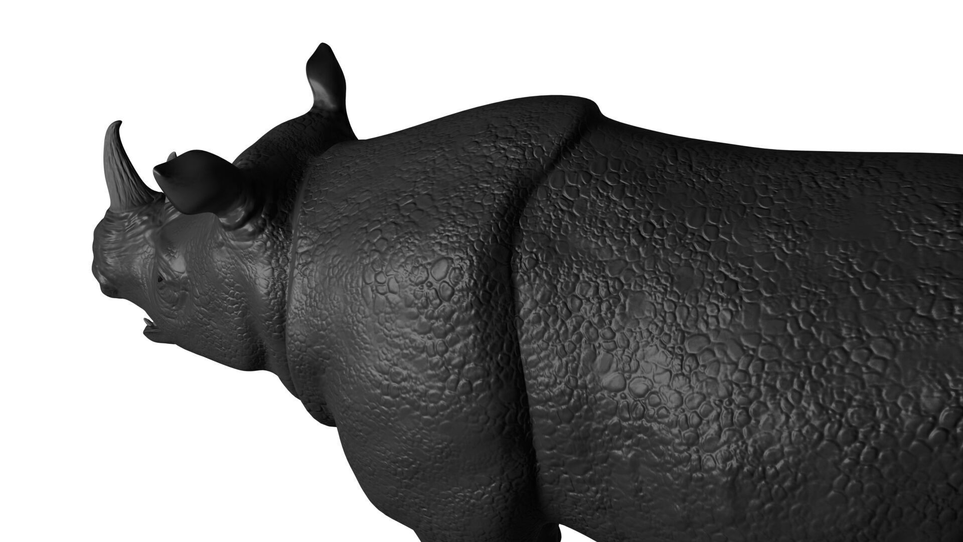 Rhinoceros 3D model_9