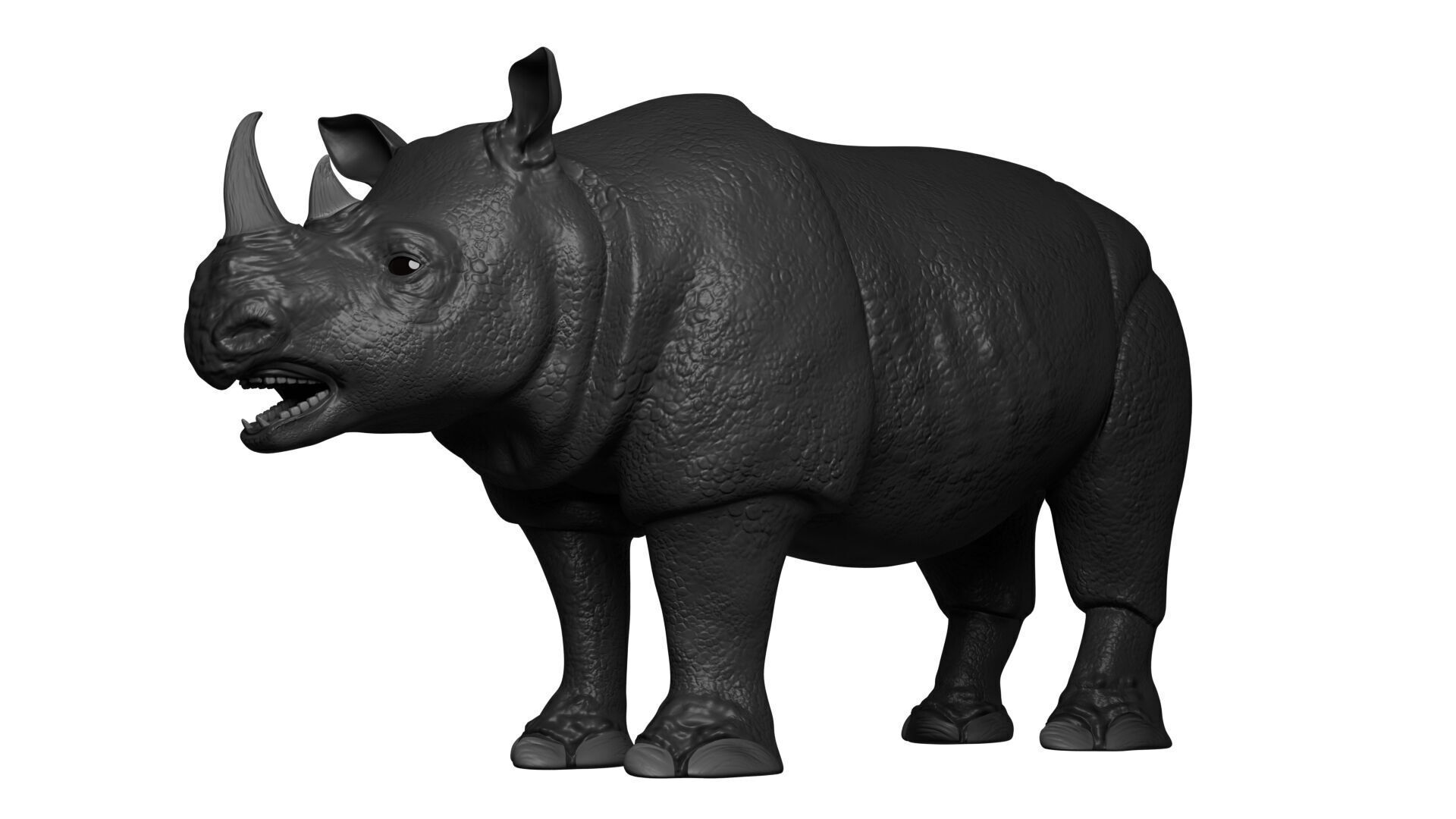 Rhinoceros 3D model_8