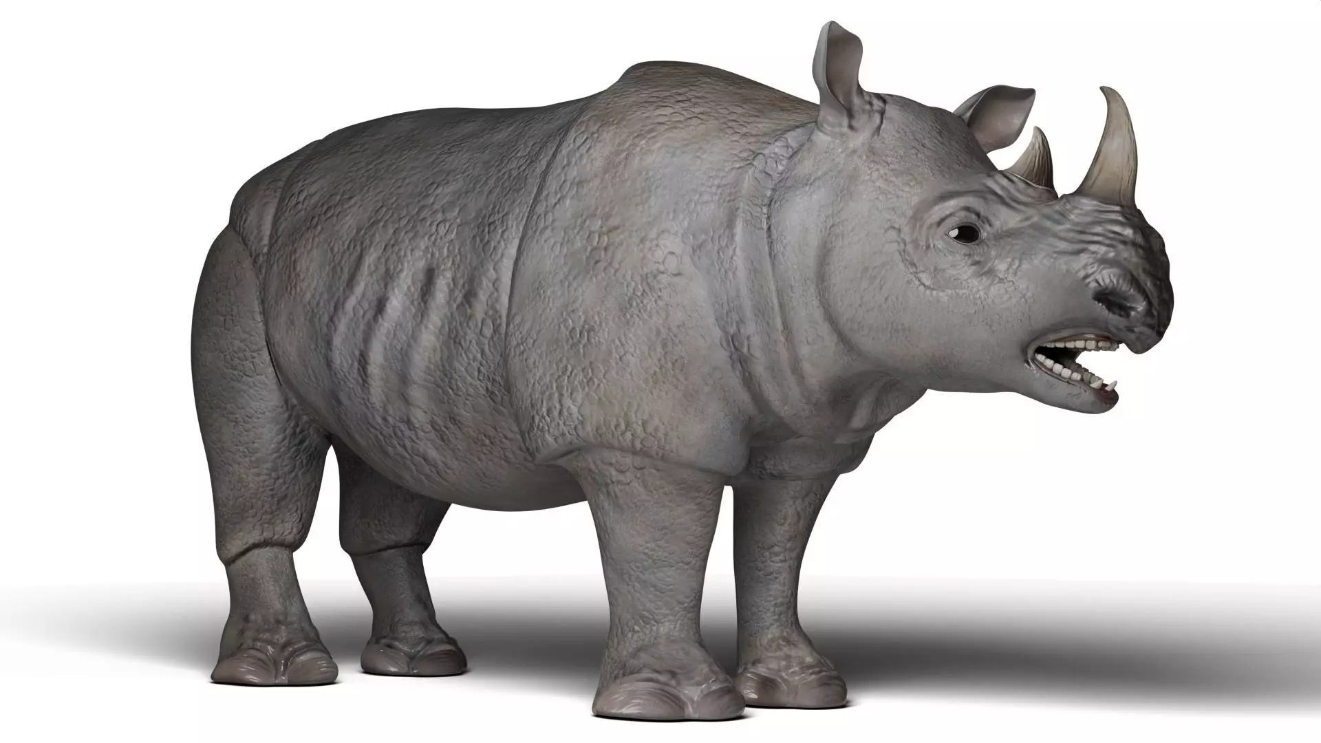 Rhinoceros 3D model_0