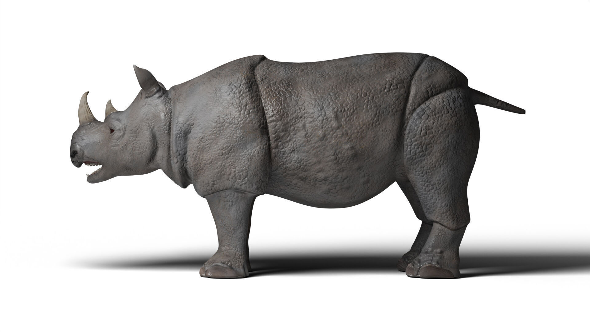 Rhinoceros 3D model_3