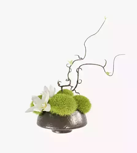 Japanese style plant decoration