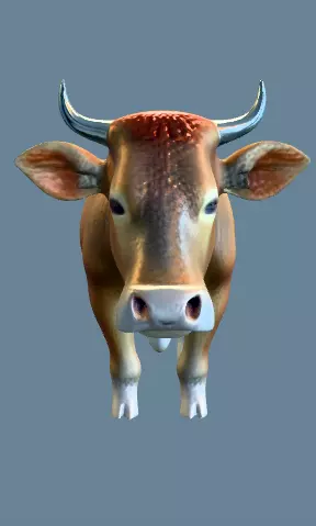 A STANLING BROWN COW FACING FORWARD 3D print model_0