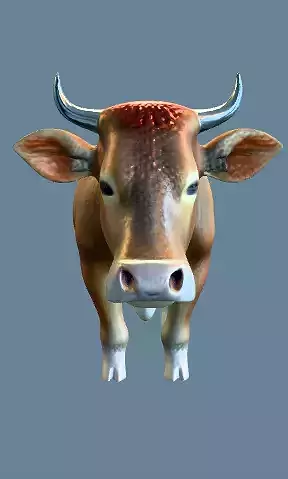 A STANLING BROWN COW FACING FORWARD