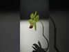 Orchid Flower D Model Pack with PBR Textures Low-poly 3D model_2