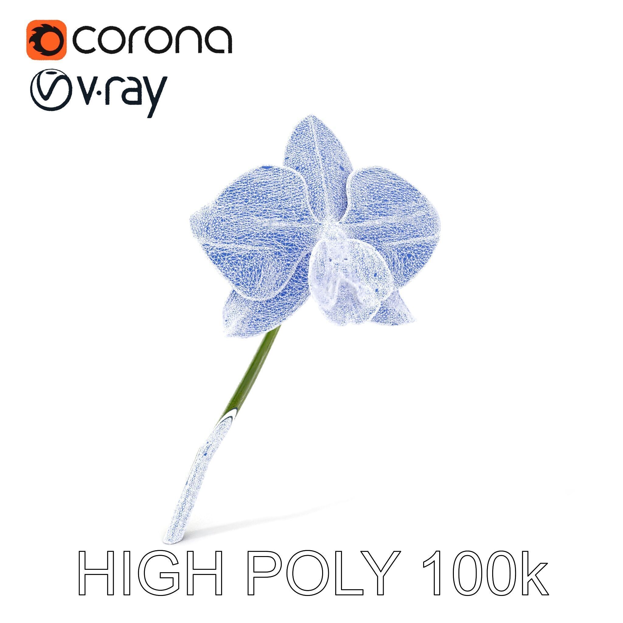 Orchid Flower and Stem D Model Pack Low-poly 3D model_18