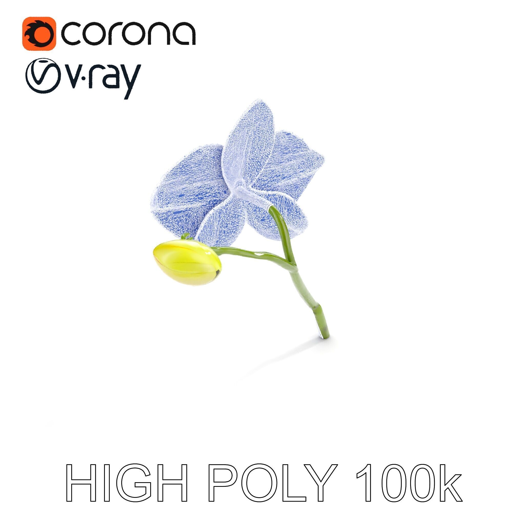 Orchid Flower and Stem D Model Pack Low-poly 3D model_14