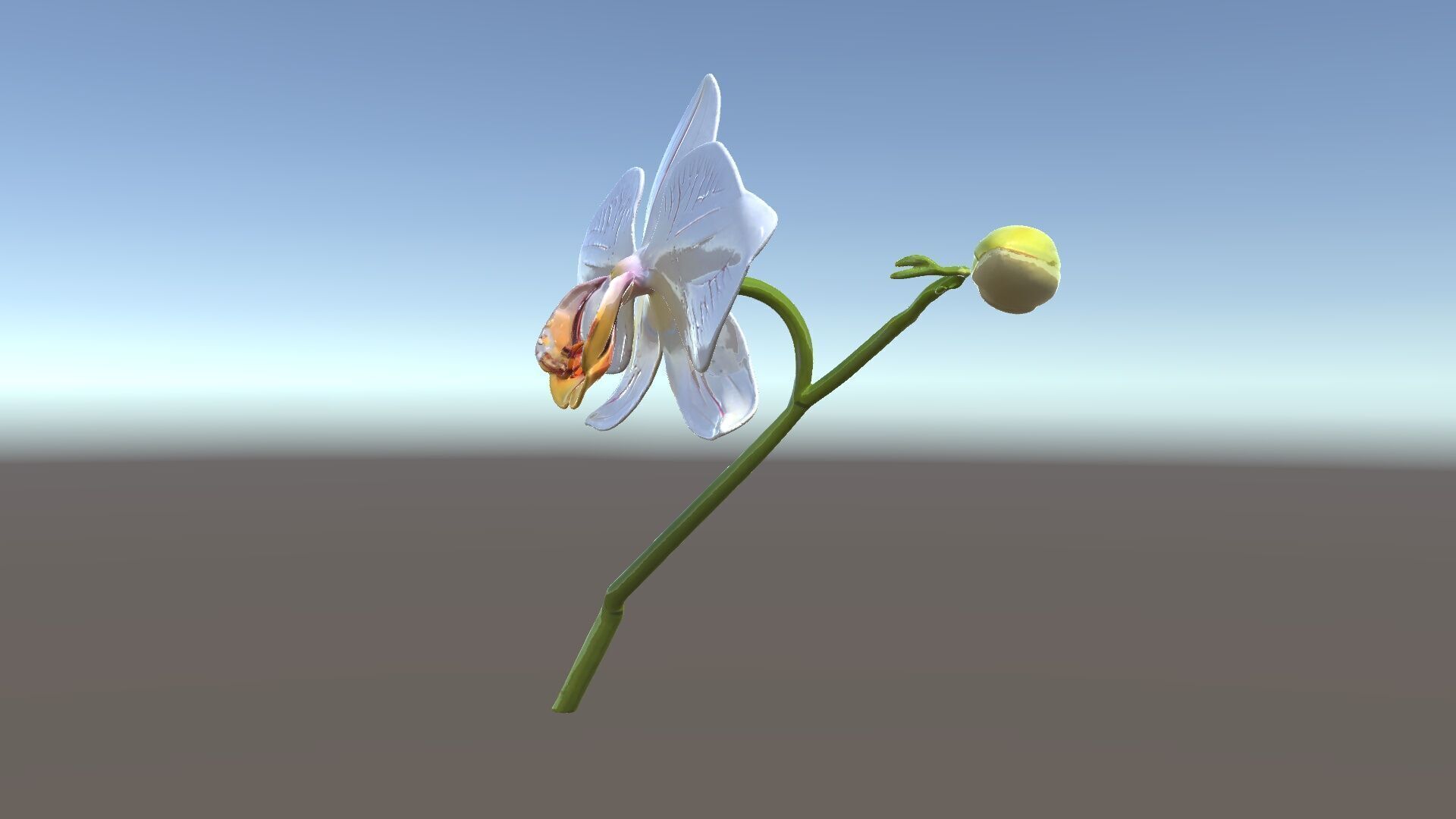 Orchid Flower and Stem D Model Pack Low-poly 3D model_35