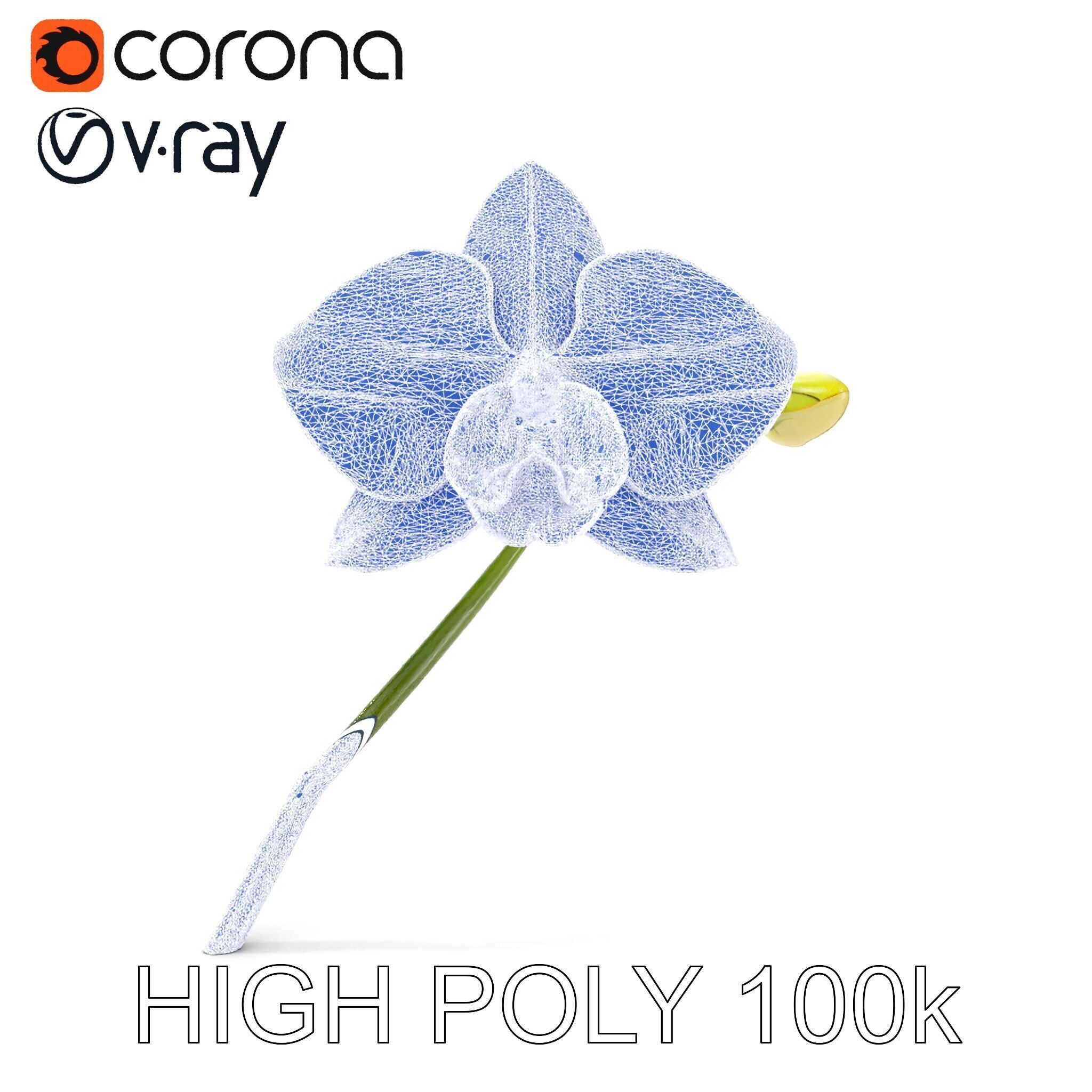 Orchid Flower and Stem D Model Pack Low-poly 3D model_32