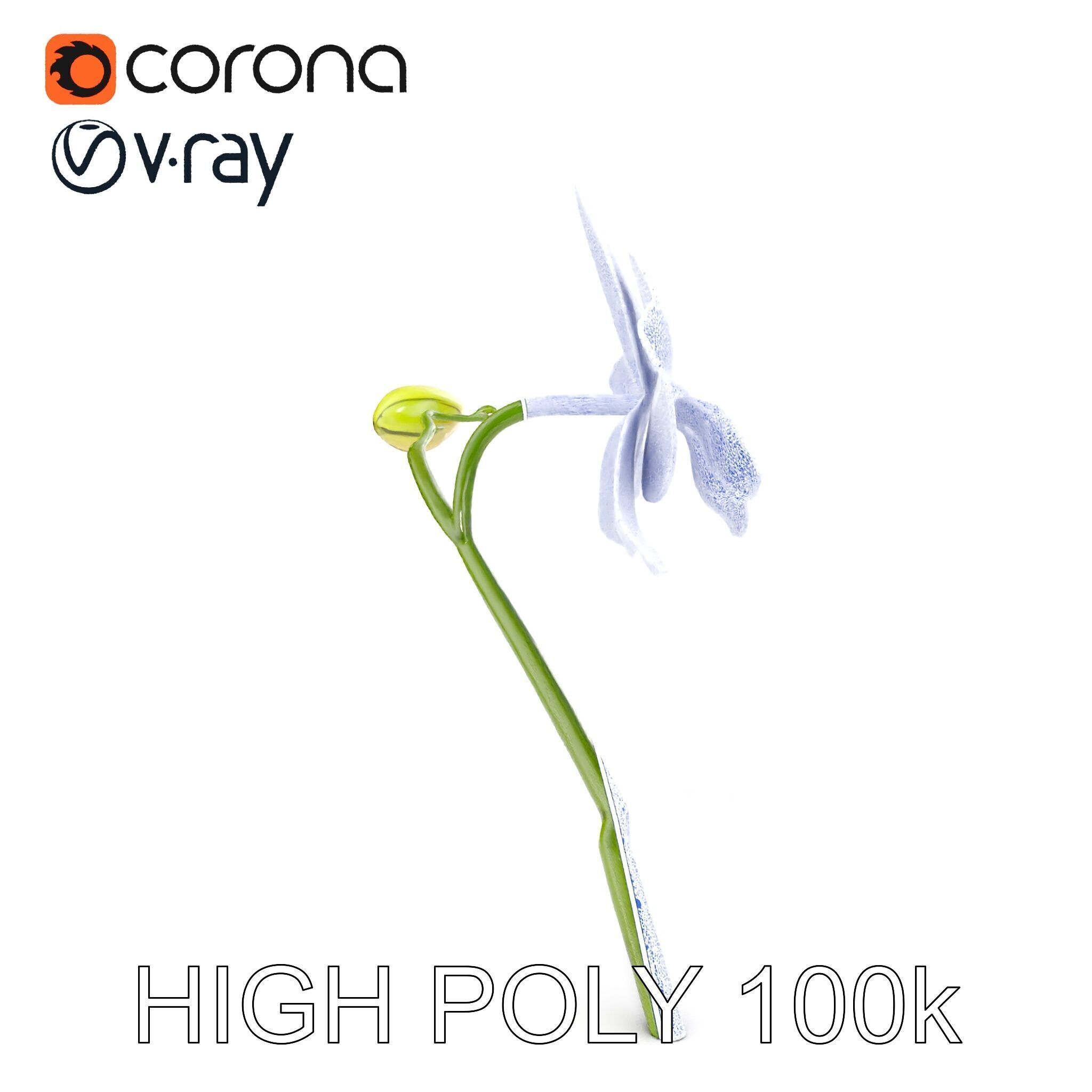 Orchid Flower and Stem D Model Pack Low-poly 3D model_17
