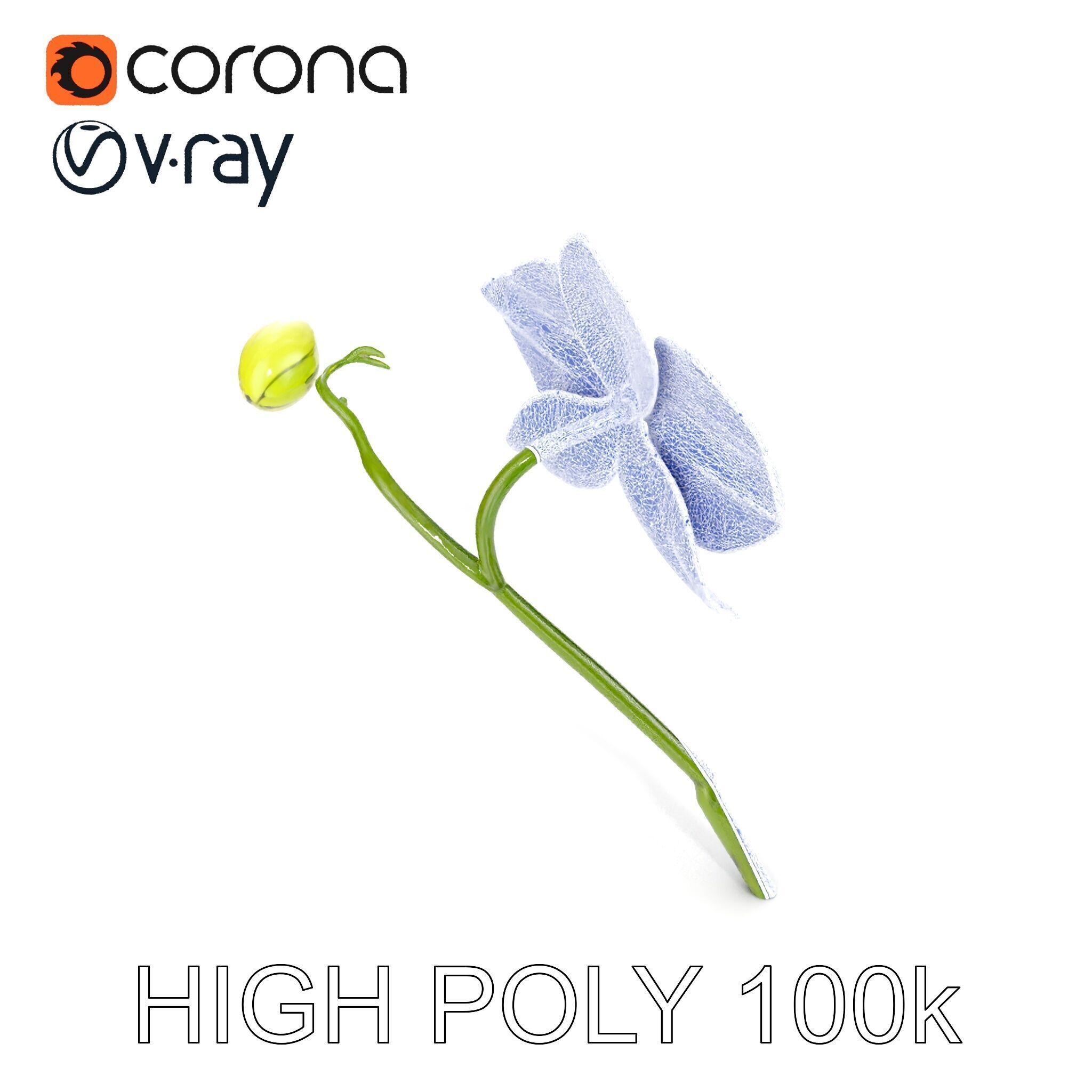 Orchid Flower and Stem D Model Pack Low-poly 3D model_20