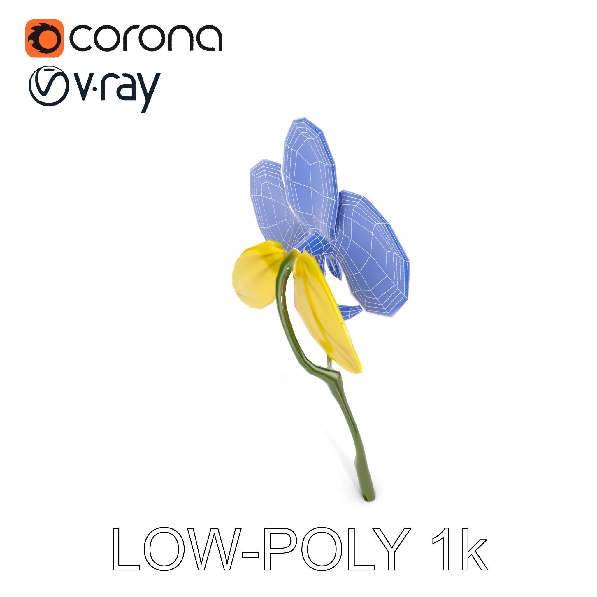 Orchid Flower Model Pack with Detailed Petals and Stem Low-poly 3D model_25