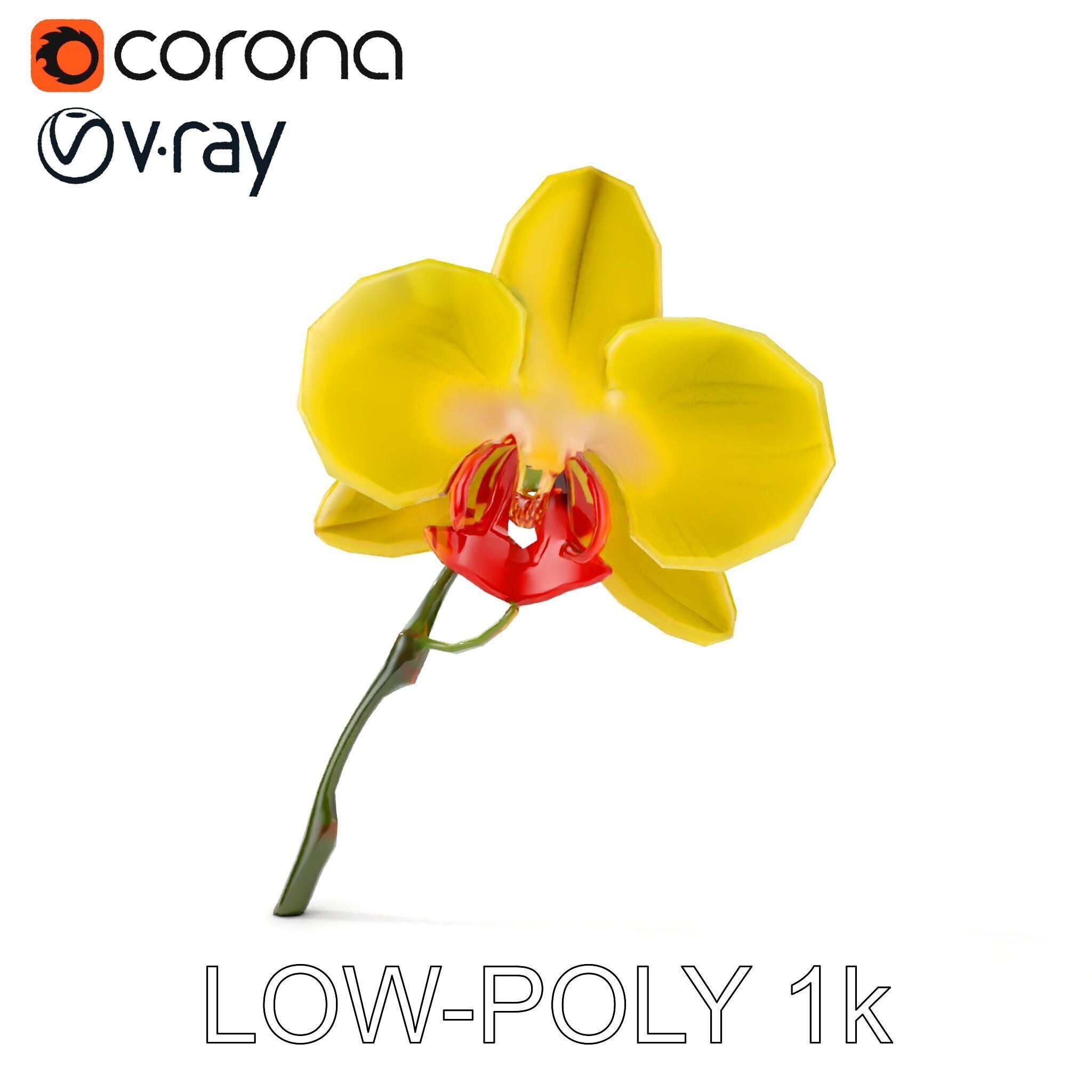 Orchid Flower Model Pack with Detailed Petals and Stem Low-poly 3D model_21