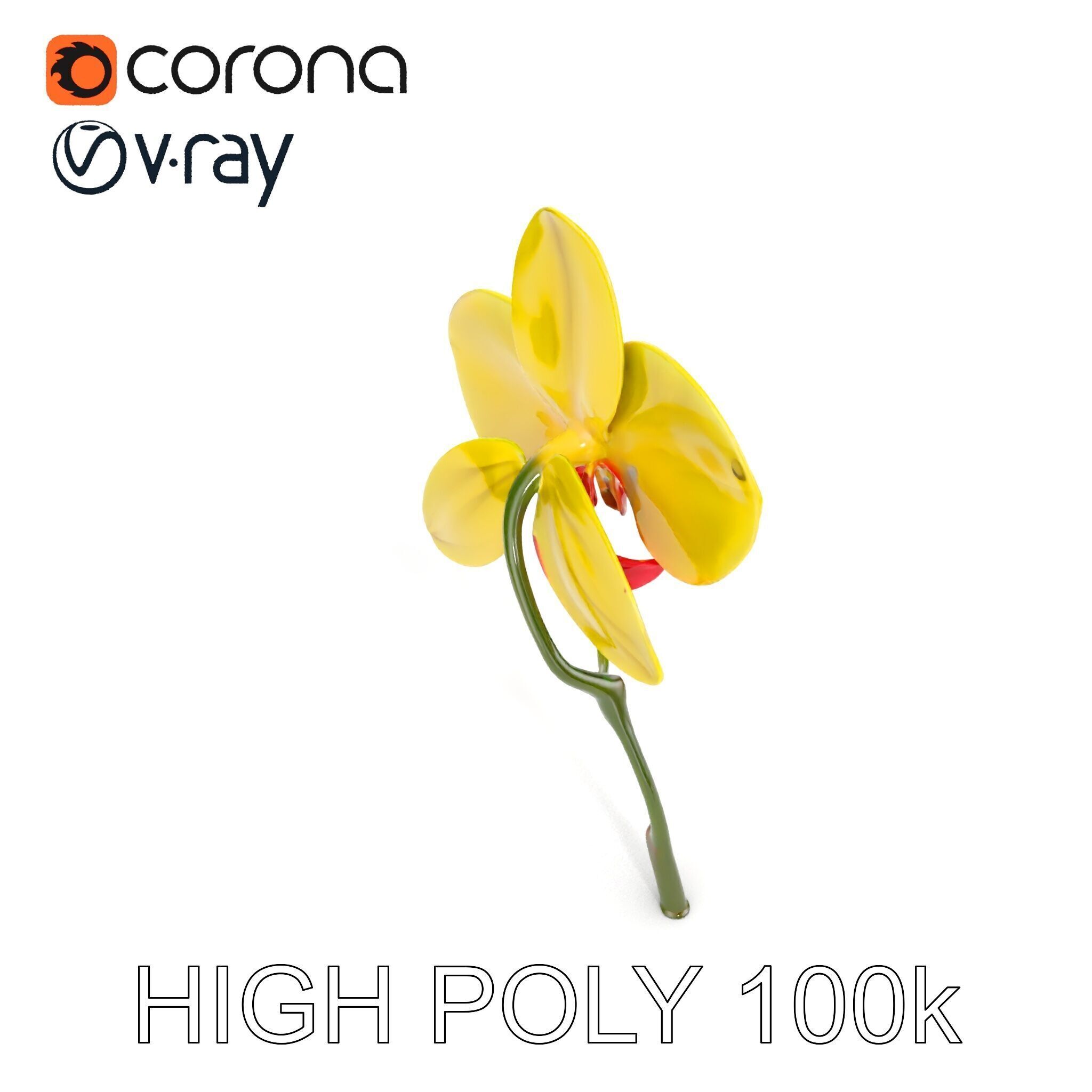 Orchid Flower Model Pack with Detailed Petals and Stem Low-poly 3D model_19