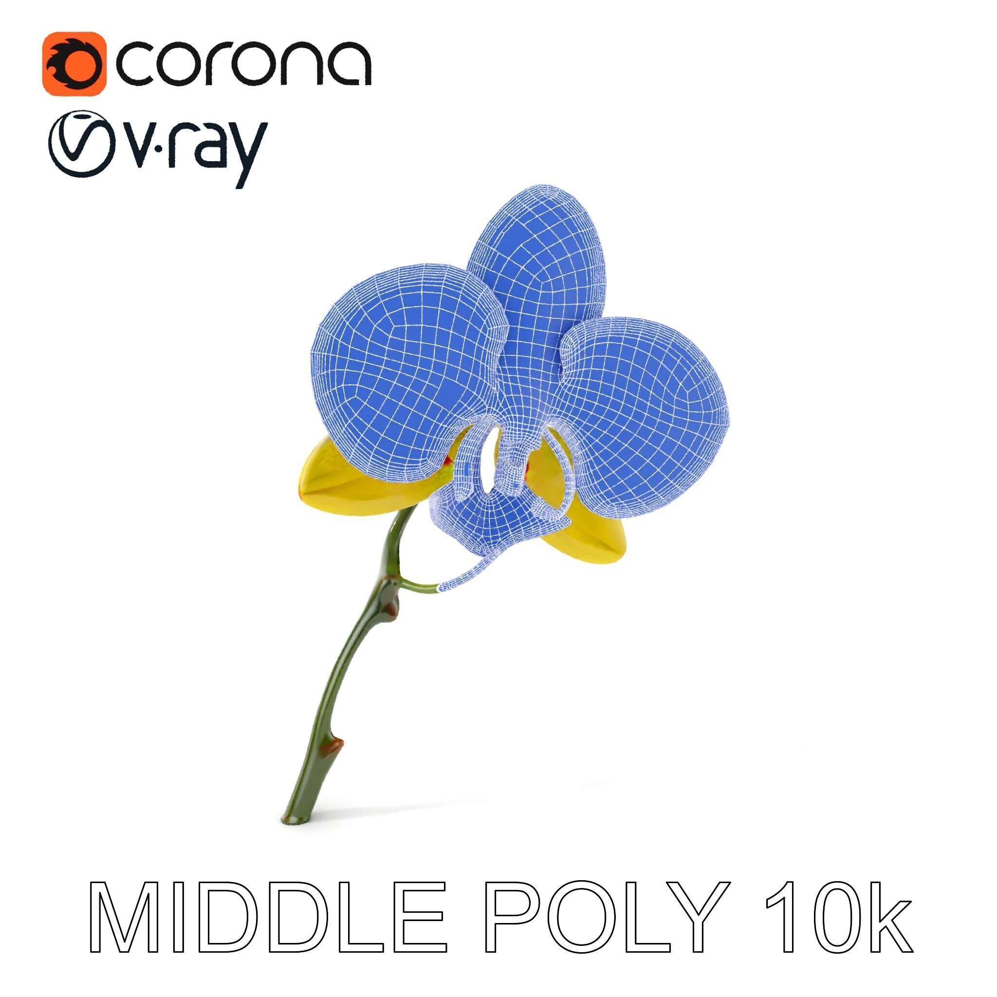 Orchid Flower Model Pack with Detailed Petals and Stem Low-poly 3D model_22