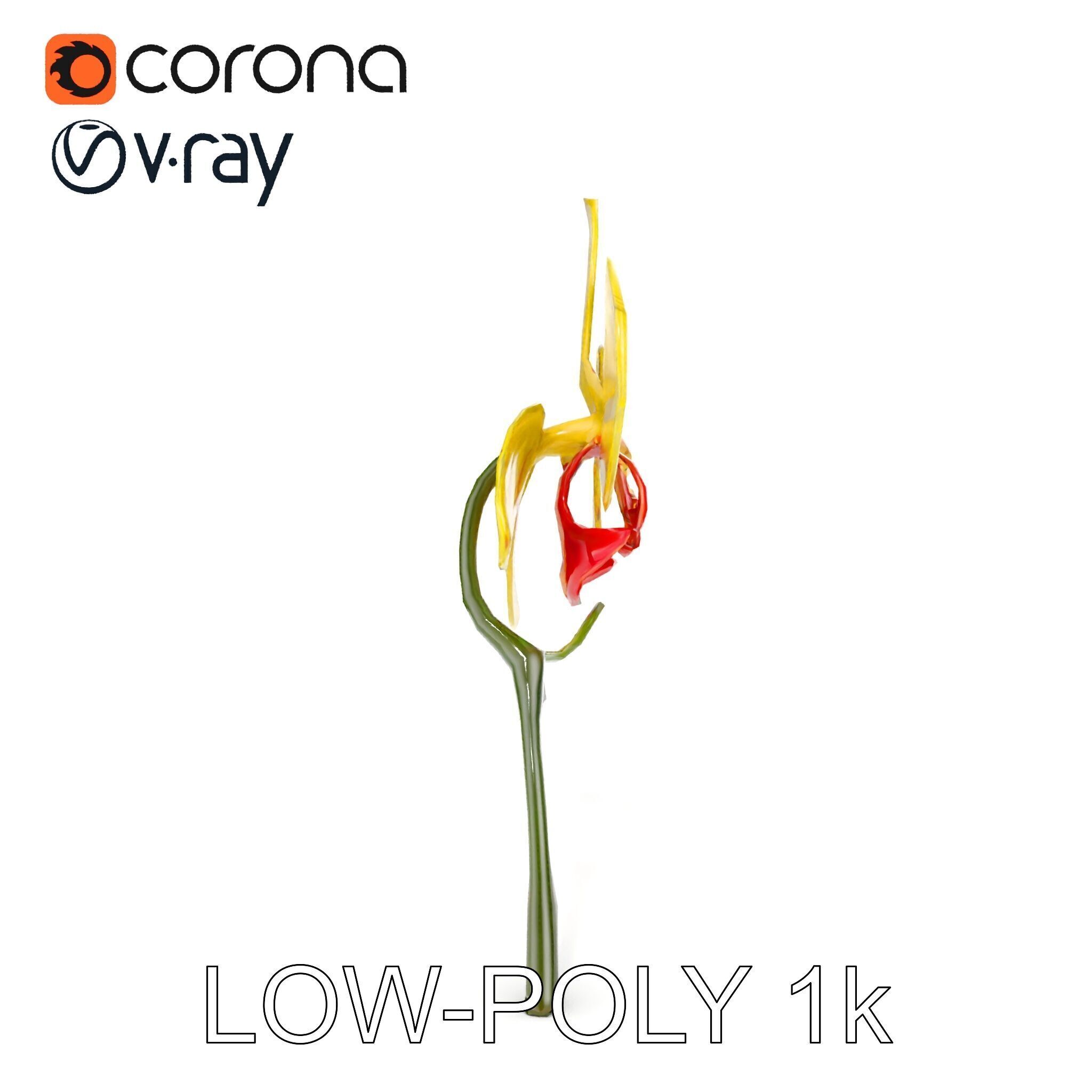 Orchid Flower Model Pack with Detailed Petals and Stem Low-poly 3D model_12