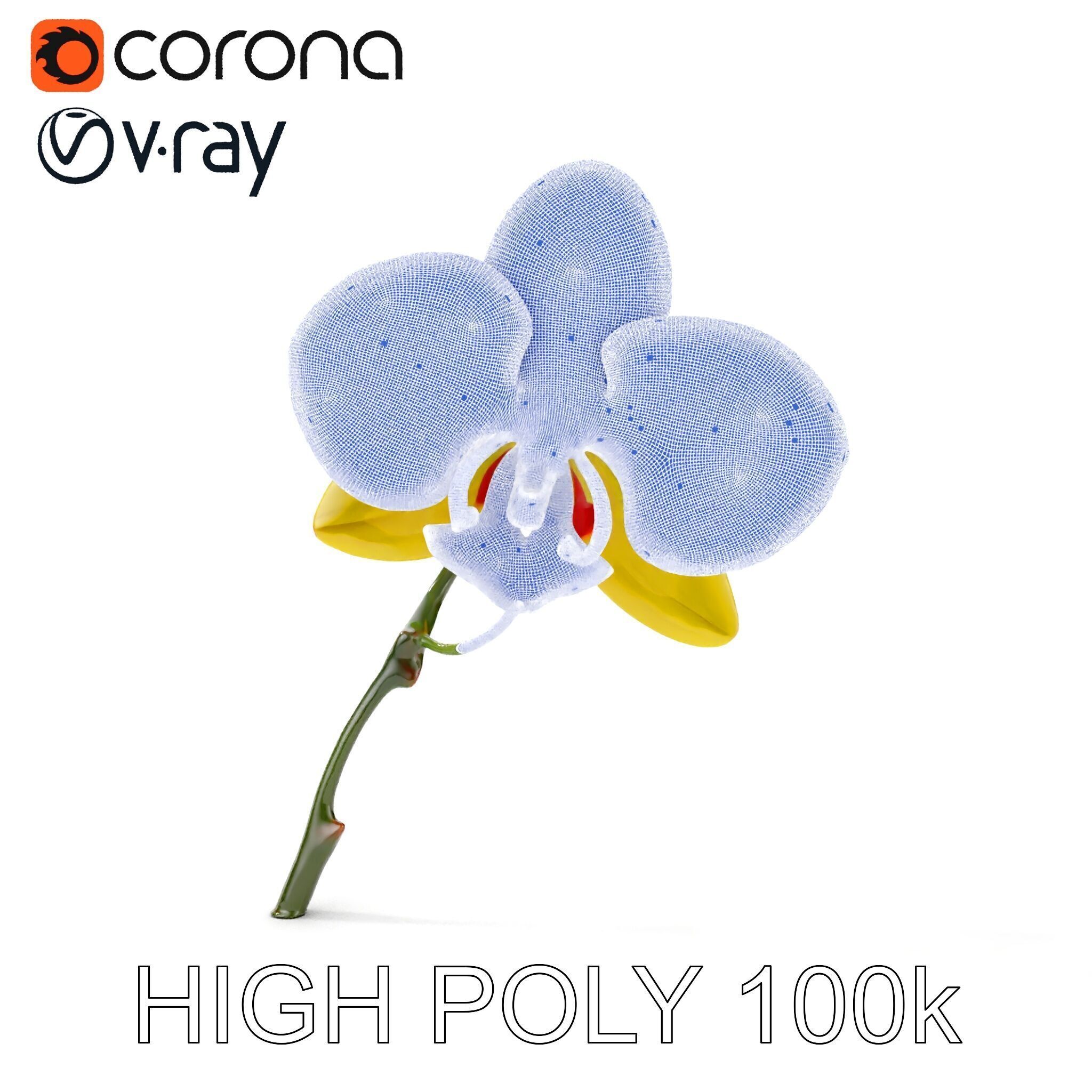 Orchid Flower Model Pack with Detailed Petals and Stem Low-poly 3D model_32