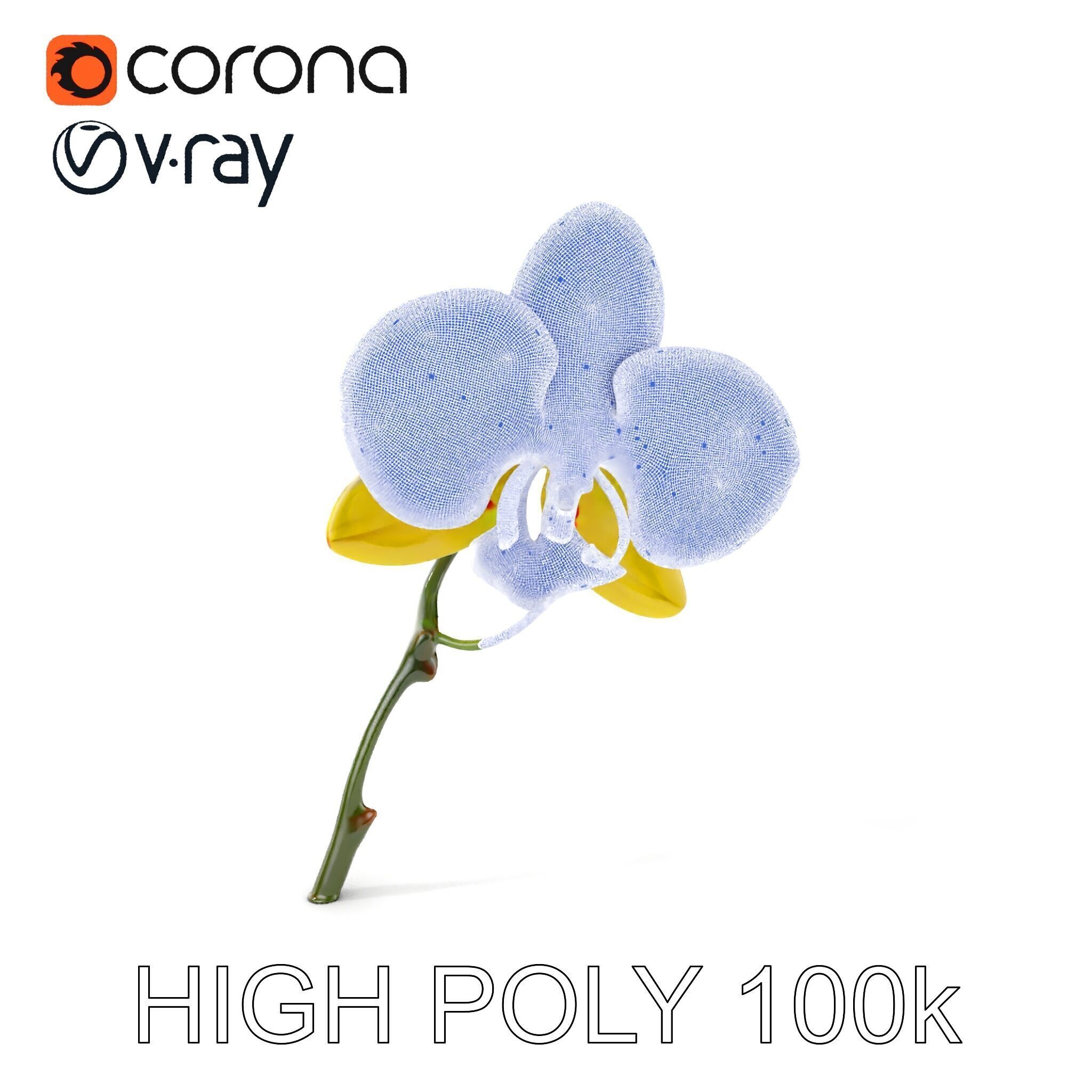 Orchid Flower Model Pack with Detailed Petals and Stem Low-poly 3D model_4