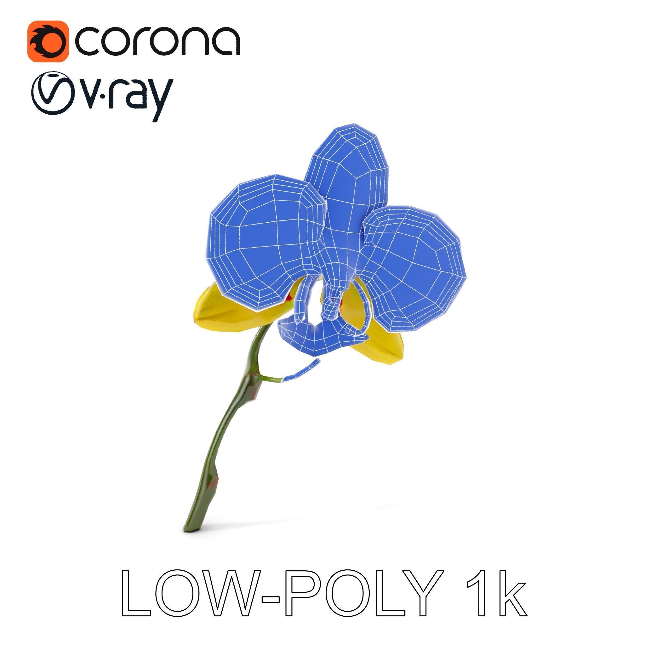 Orchid Flower Model Pack with Detailed Petals and Stem Low-poly 3D model_23