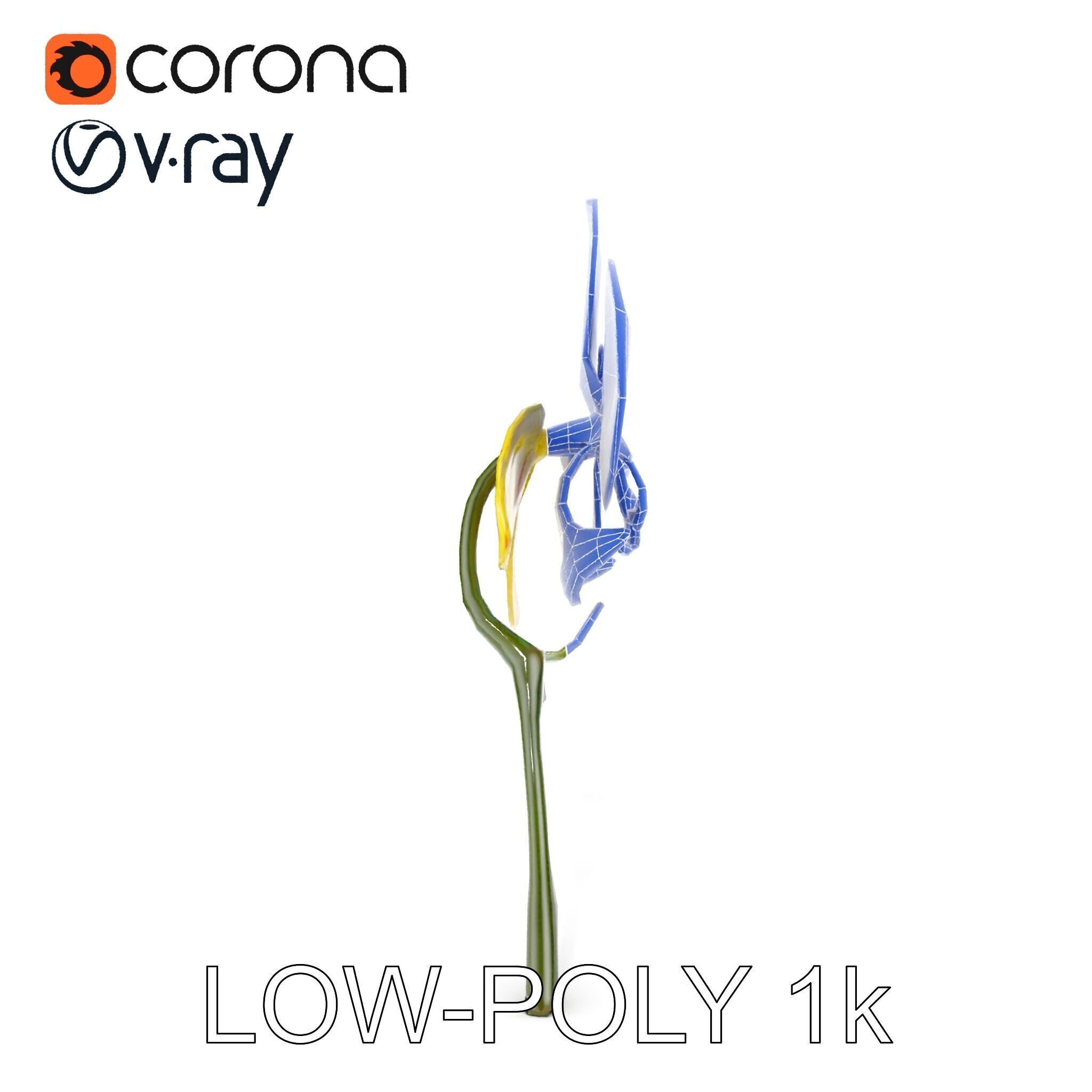 Orchid Flower Model Pack with Detailed Petals and Stem Low-poly 3D model_31
