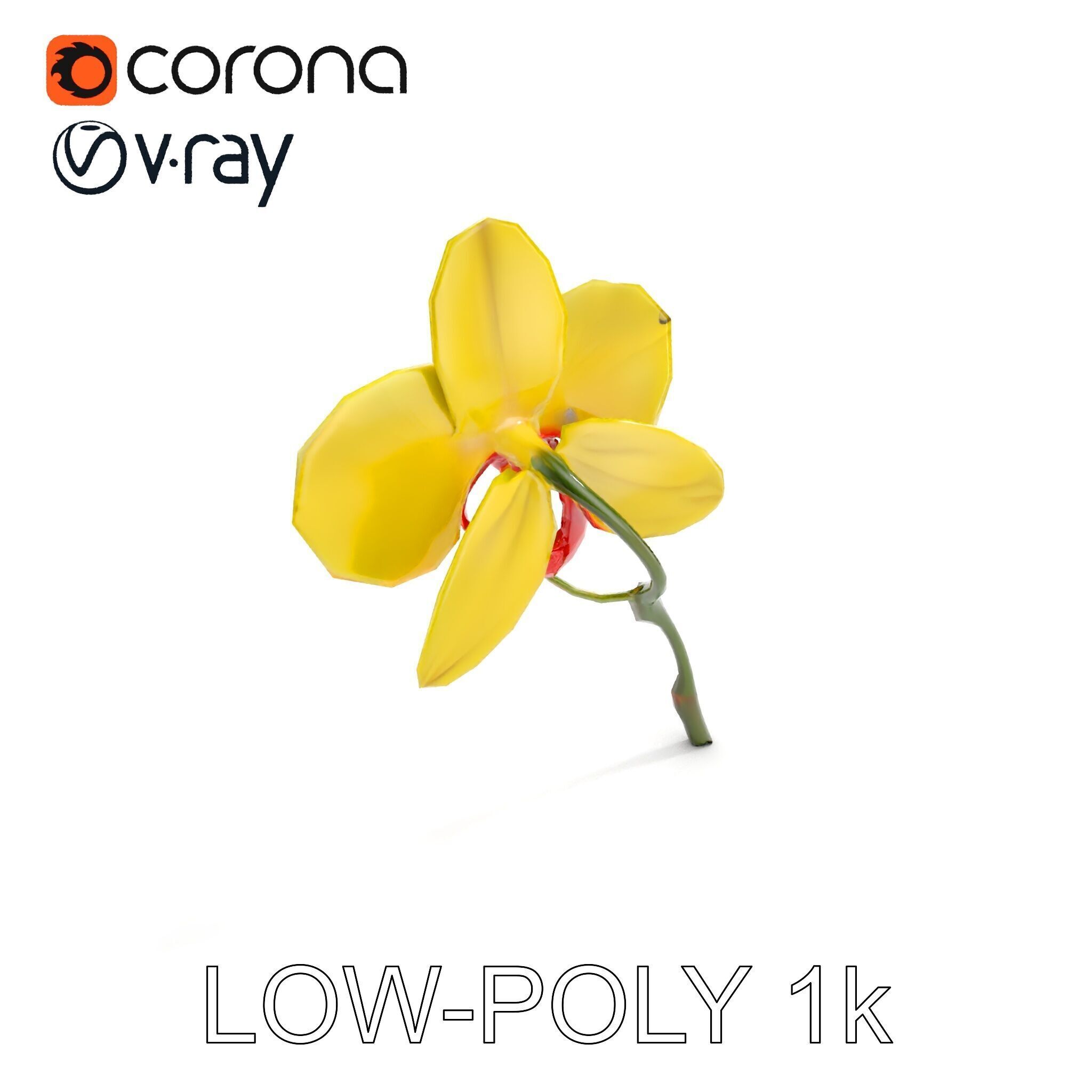 Orchid Flower Model Pack with Detailed Petals and Stem Low-poly 3D model_7