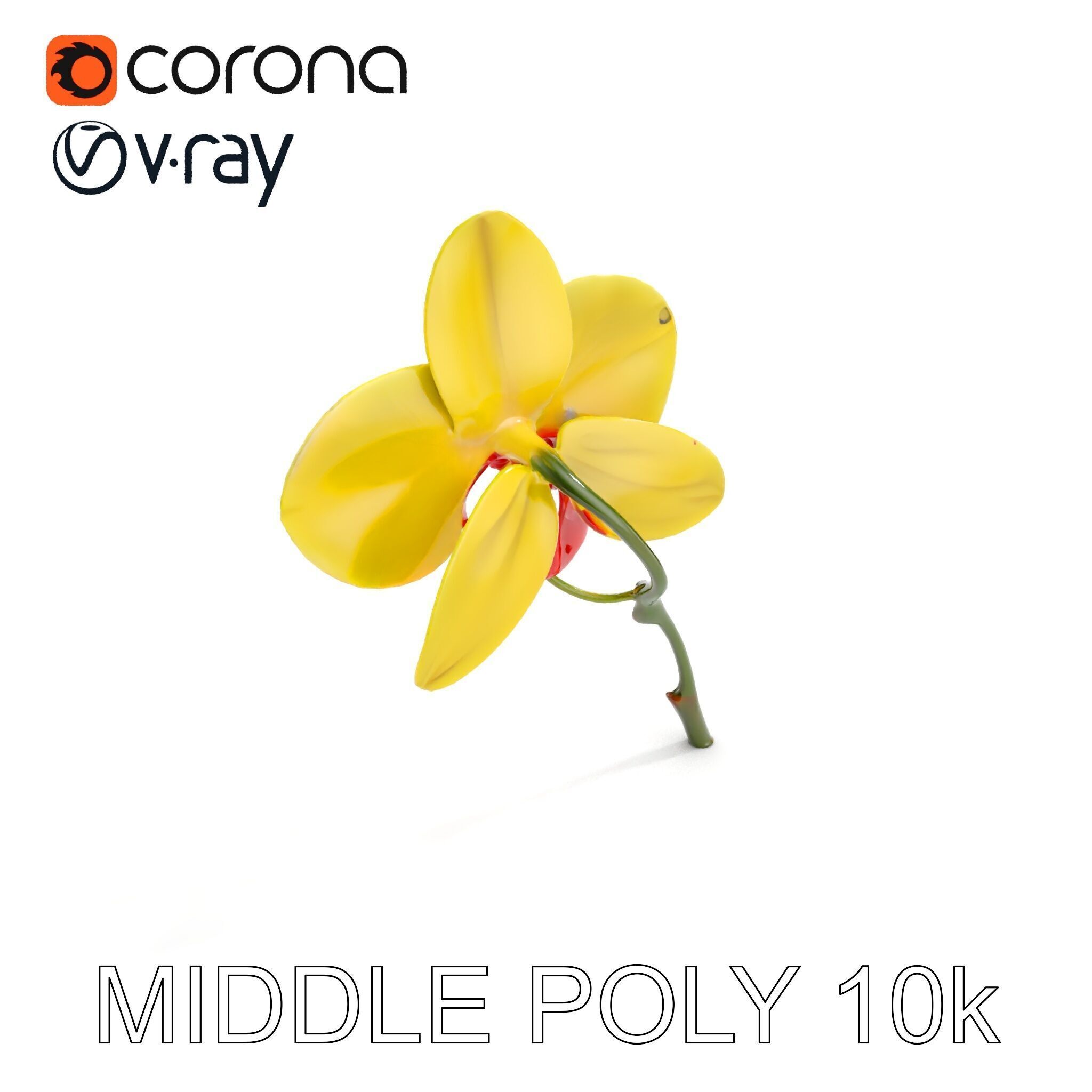 Orchid Flower Model Pack with Detailed Petals and Stem Low-poly 3D model_6