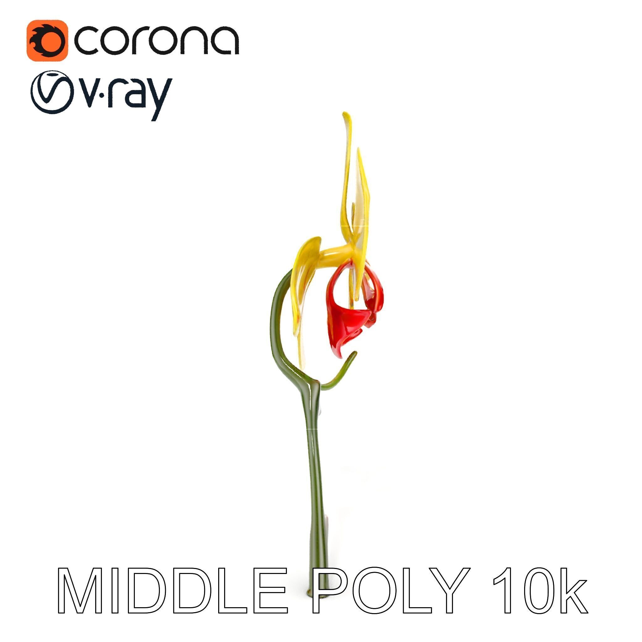 Orchid Flower Model Pack with Detailed Petals and Stem Low-poly 3D model_11