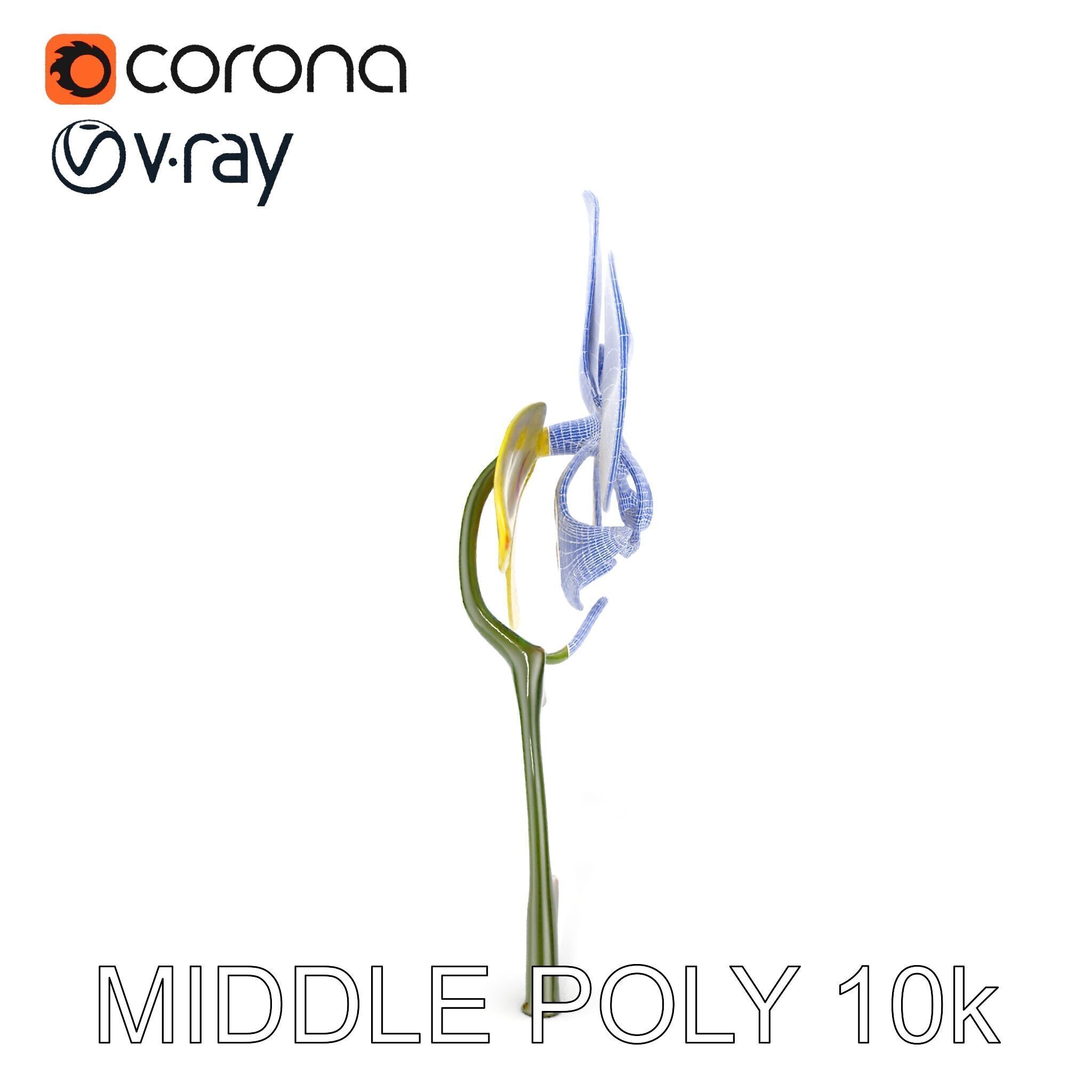 Orchid Flower Model Pack with Detailed Petals and Stem Low-poly 3D model_30