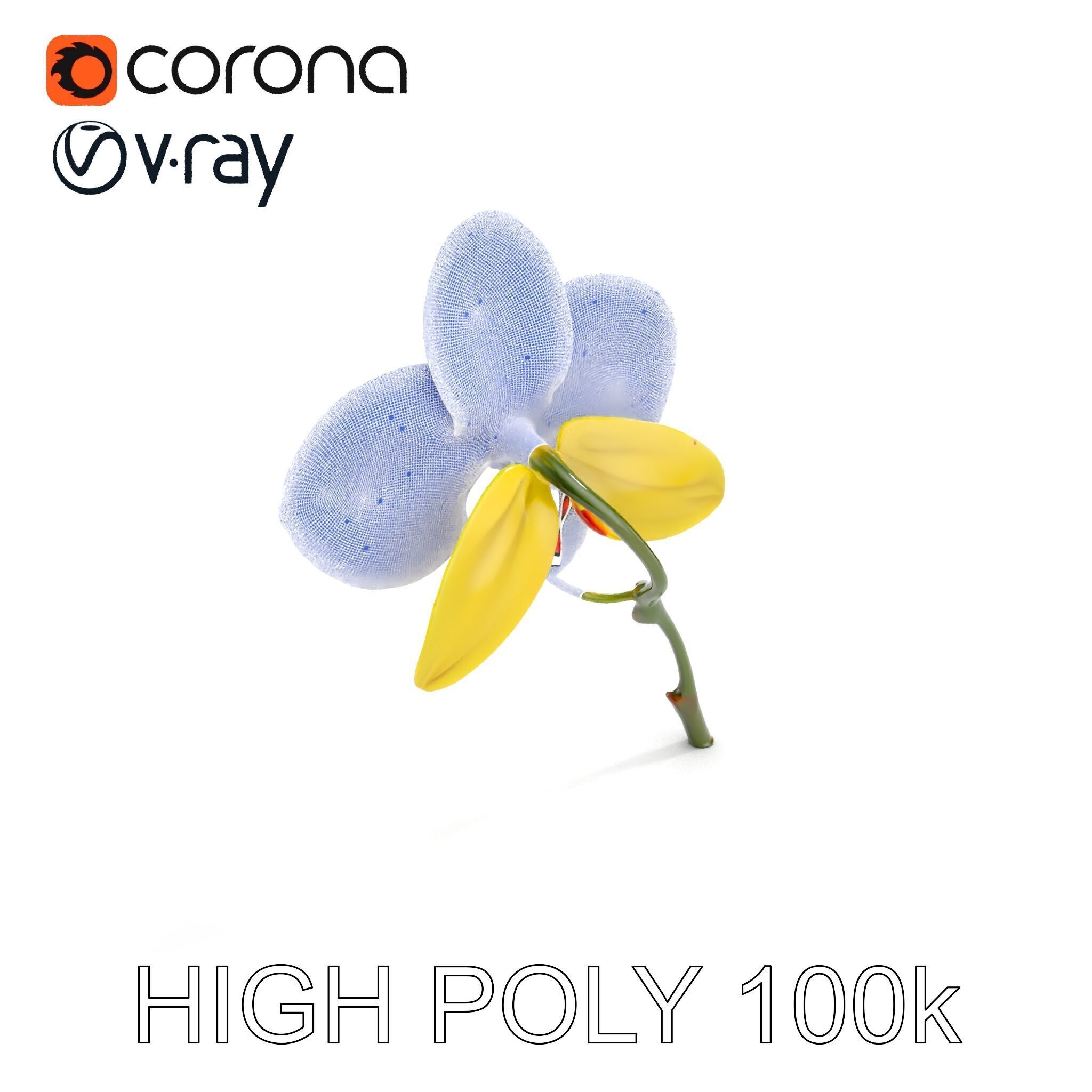 Orchid Flower Model Pack with Detailed Petals and Stem Low-poly 3D model_35