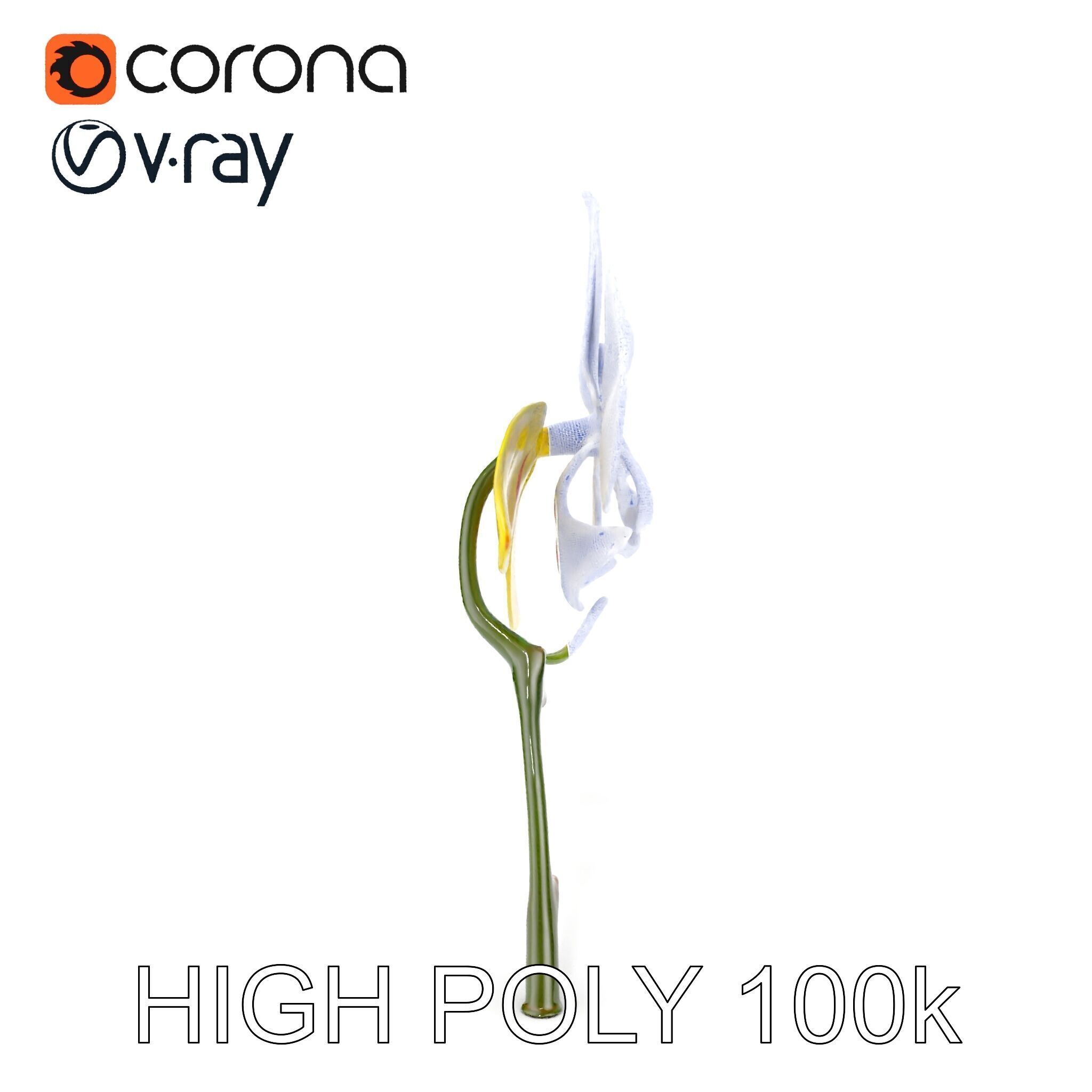 Orchid Flower Model Pack with Detailed Petals and Stem Low-poly 3D model_26