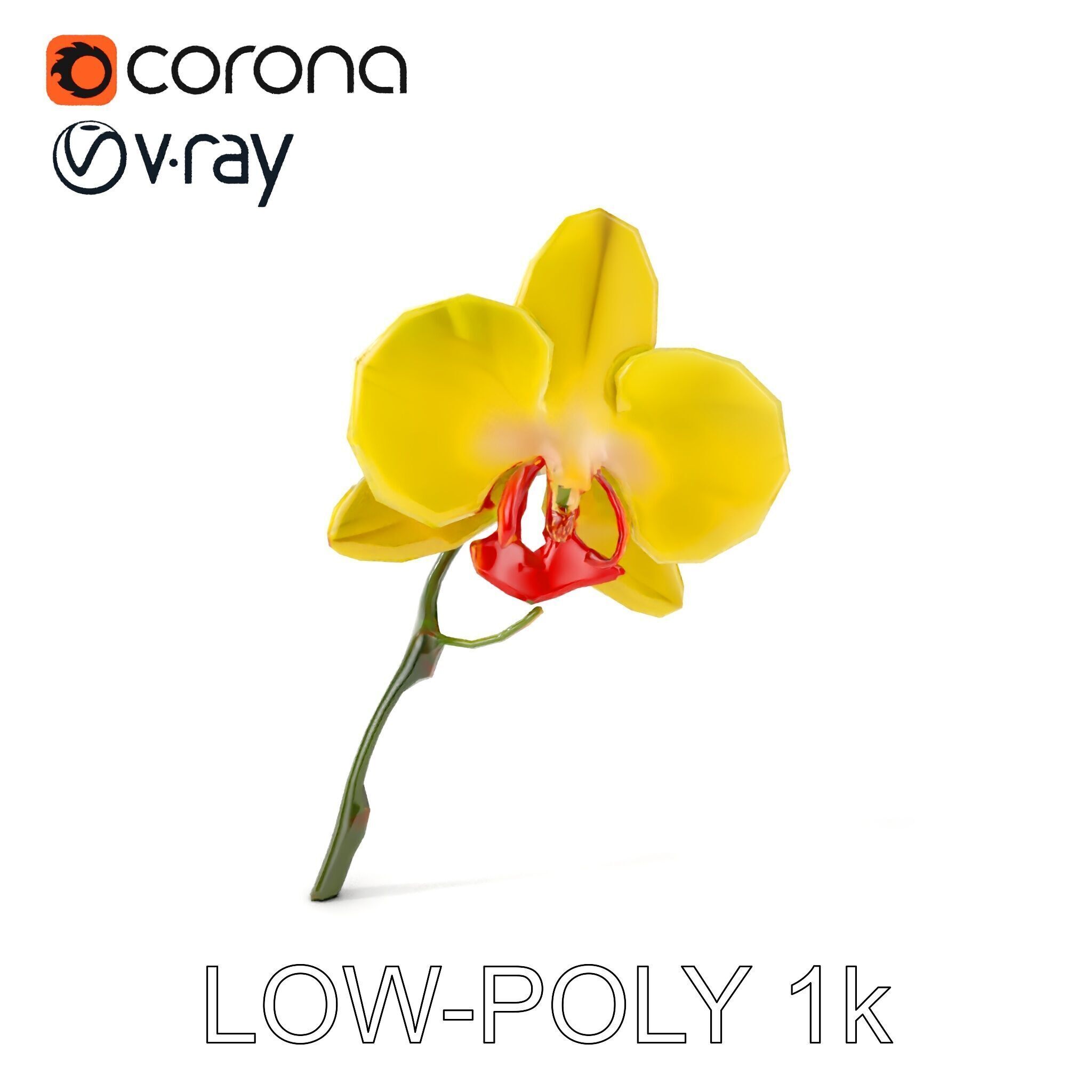 Orchid Flower Model Pack with Detailed Petals and Stem Low-poly 3D model_18