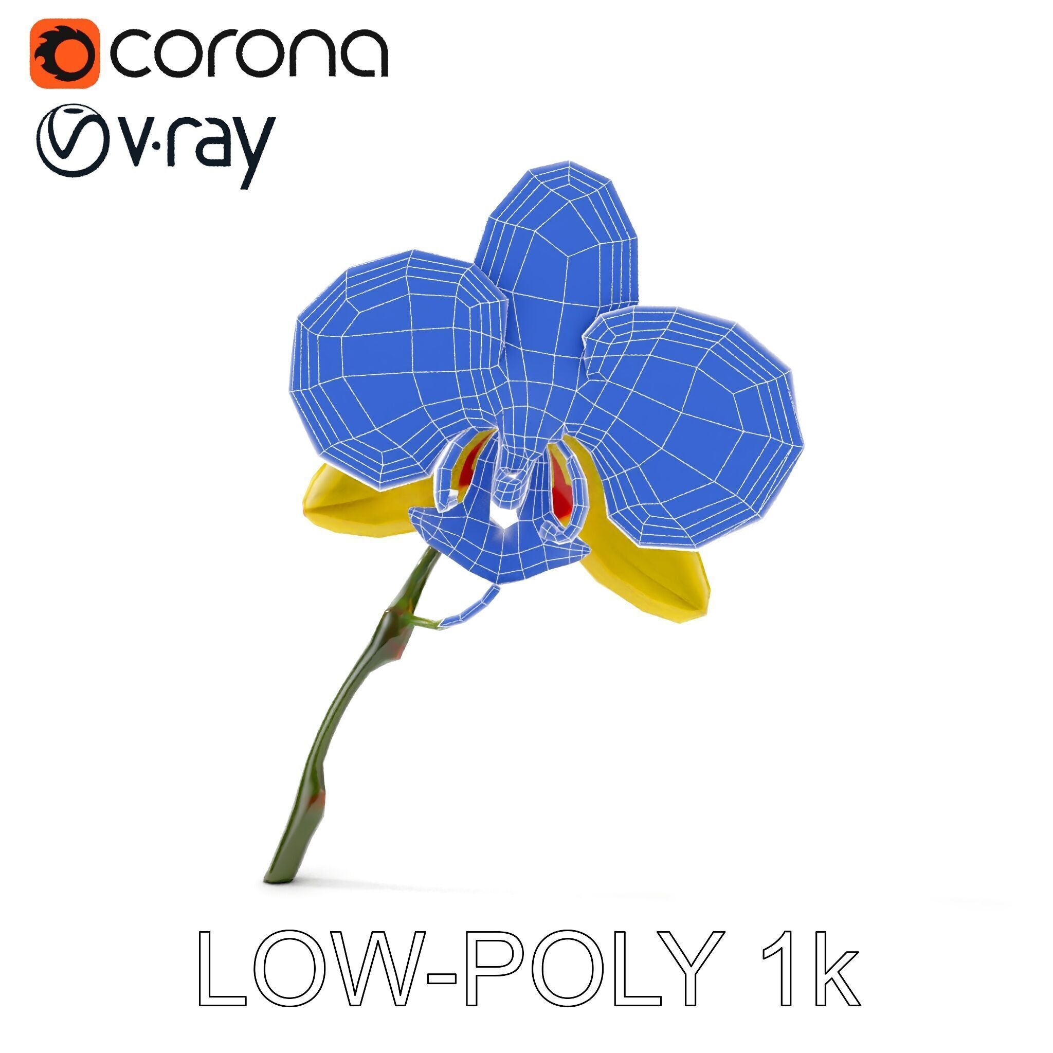 Orchid Flower Model Pack with Detailed Petals and Stem Low-poly 3D model_28
