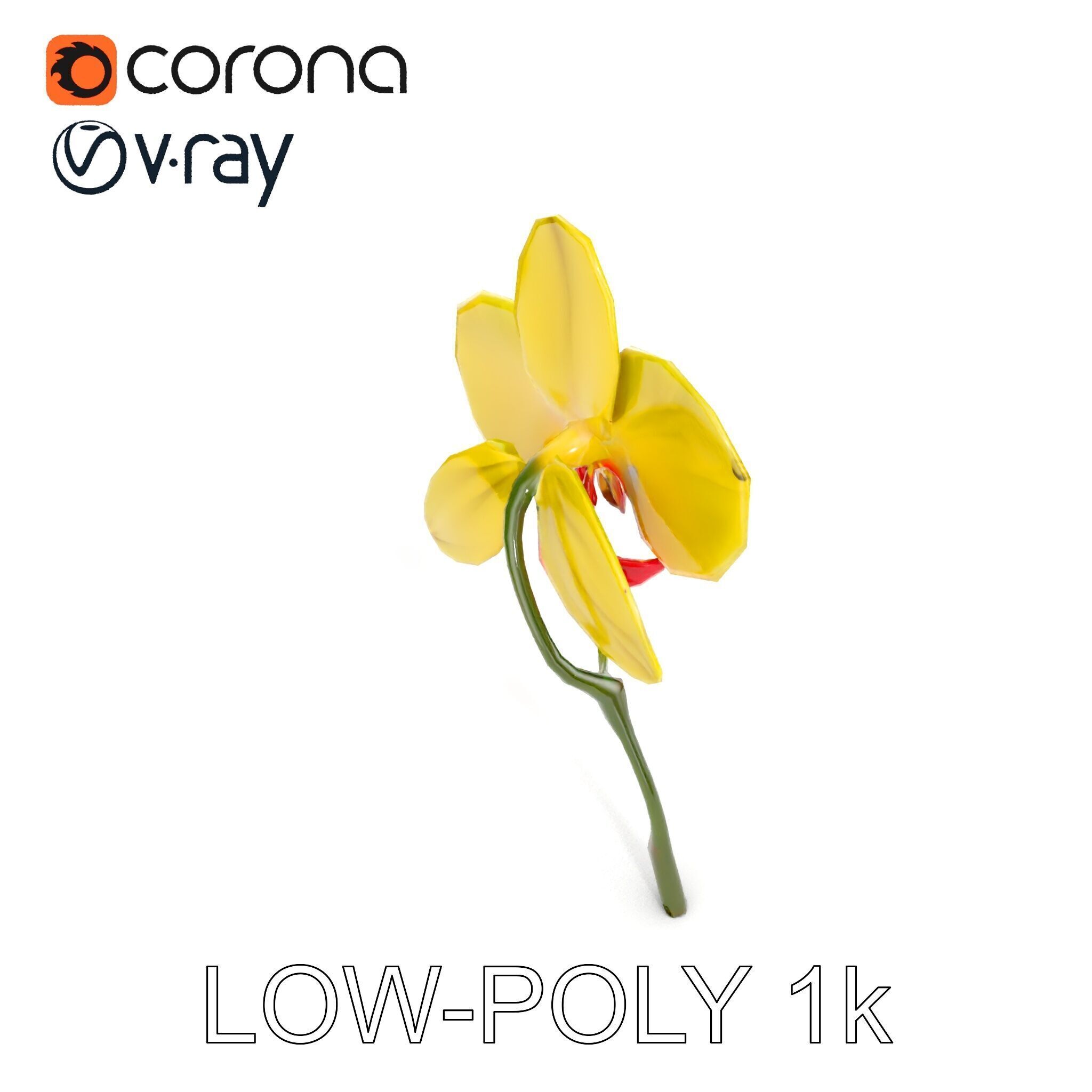 Orchid Flower Model Pack with Detailed Petals and Stem Low-poly 3D model_9