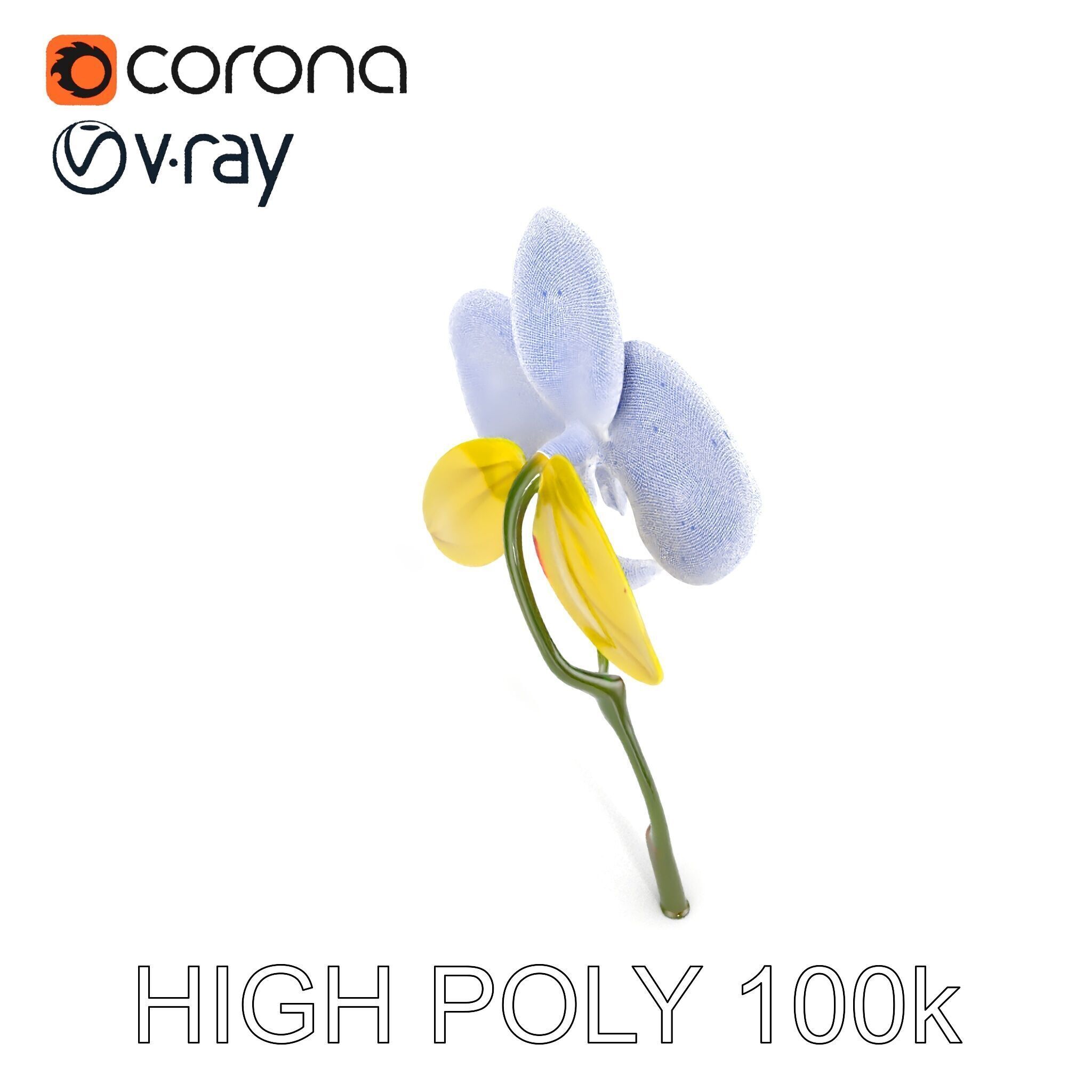 Orchid Flower Model Pack with Detailed Petals and Stem Low-poly 3D model_29